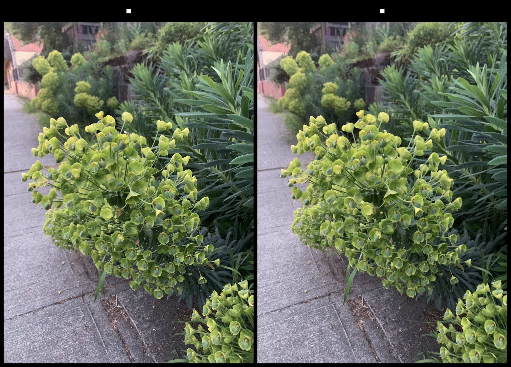 stereo image
