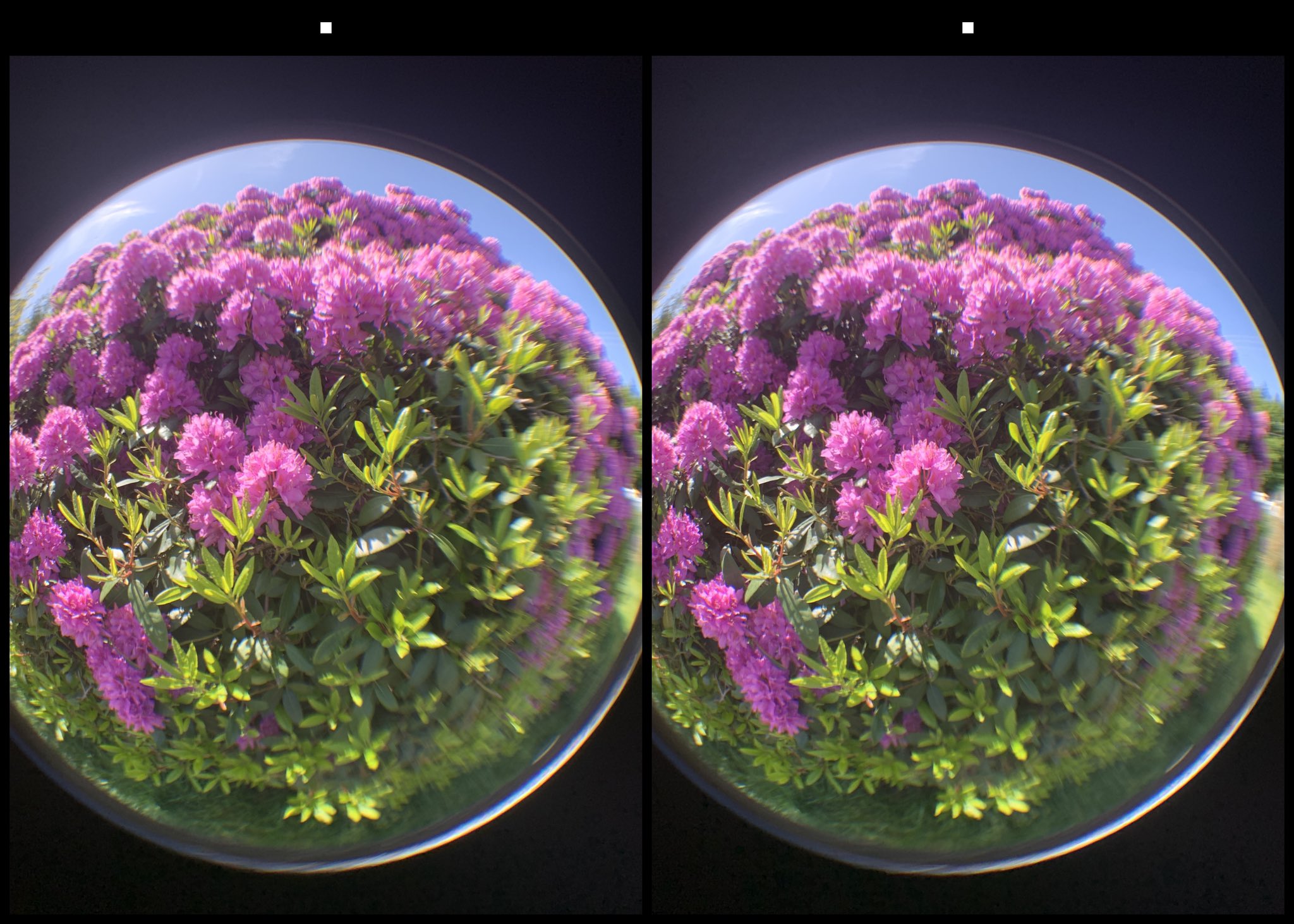 stereo image