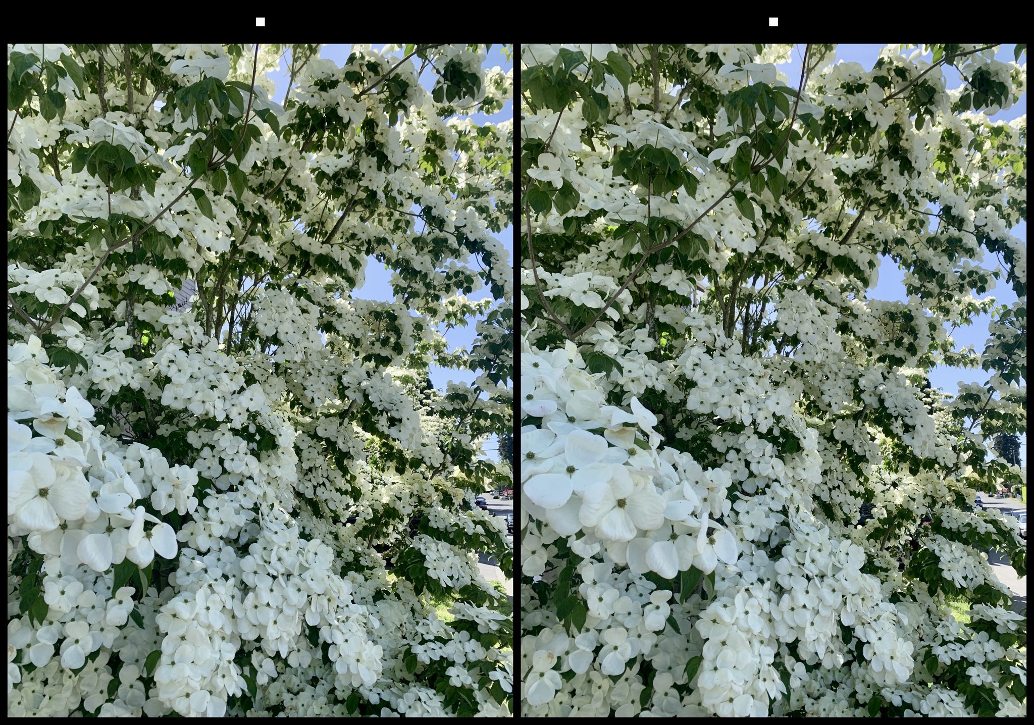 stereo image
