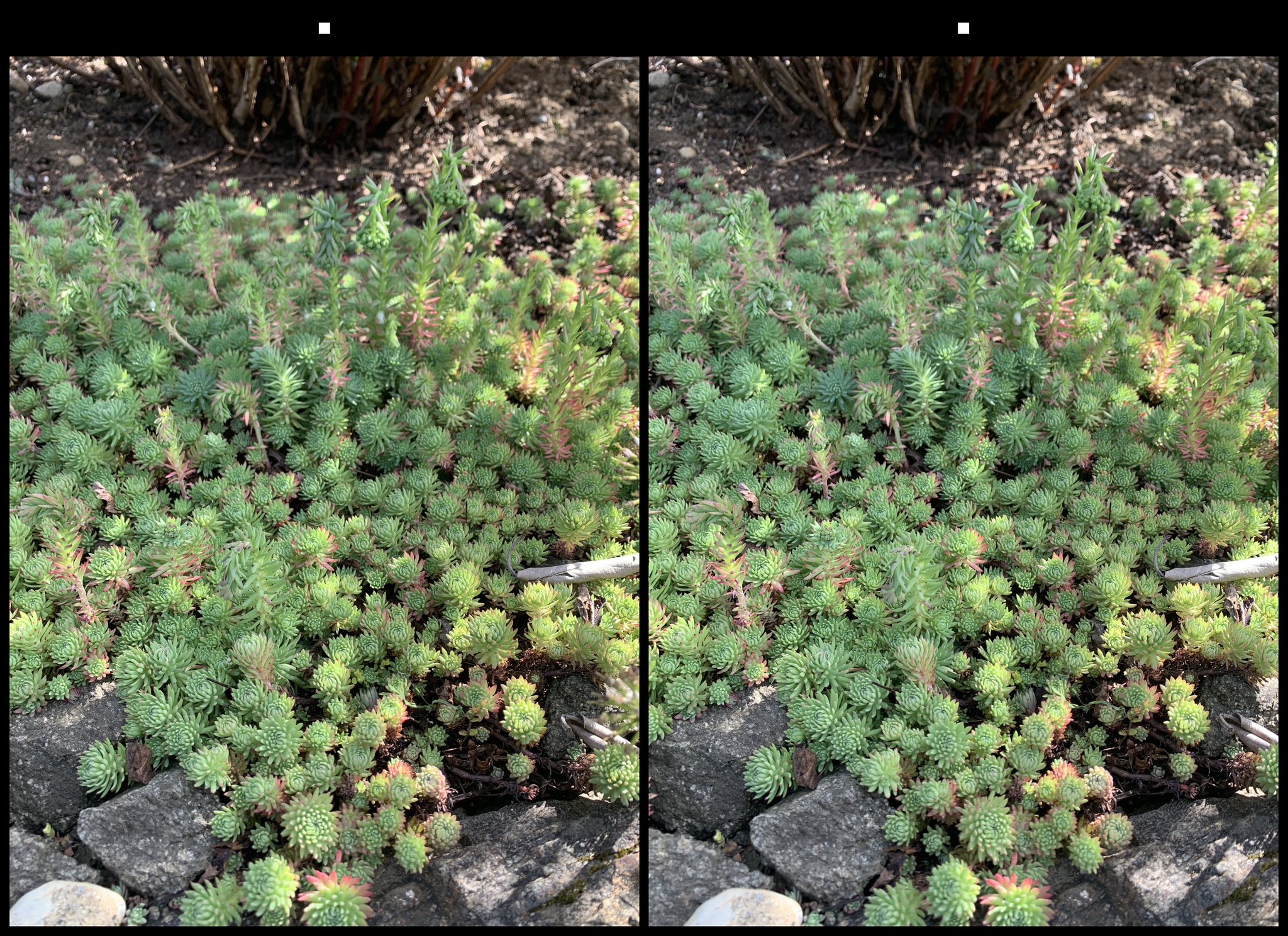 stereo image