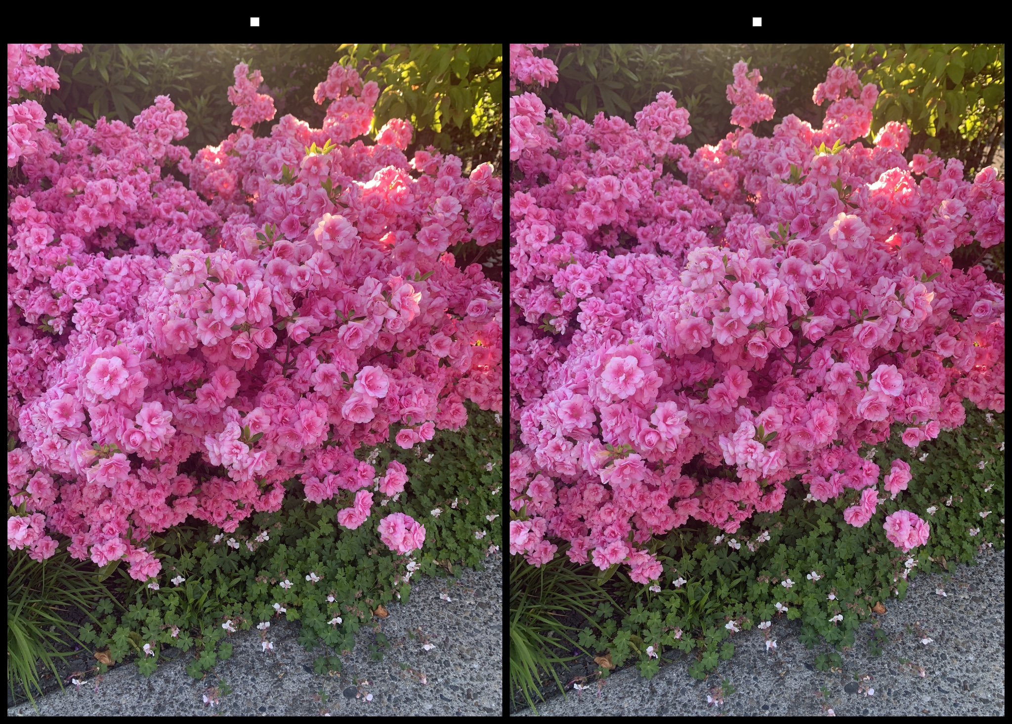 stereo image