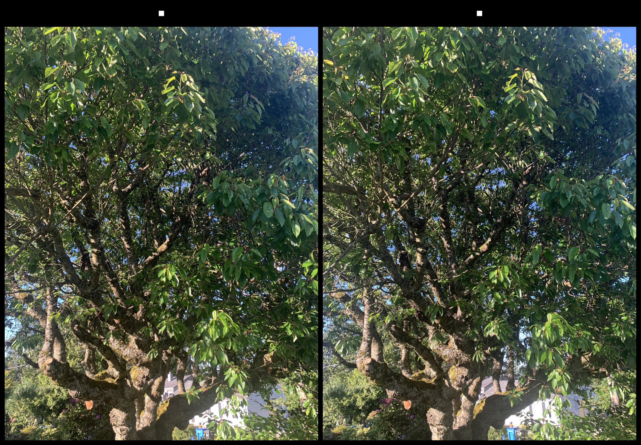 stereo image