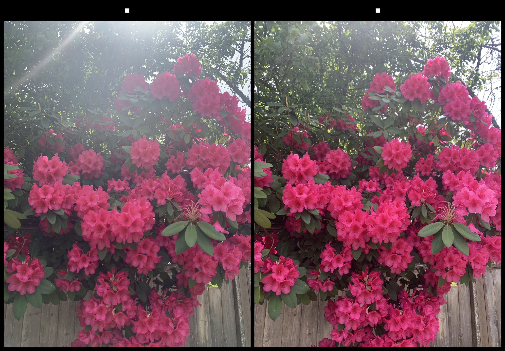 stereo image