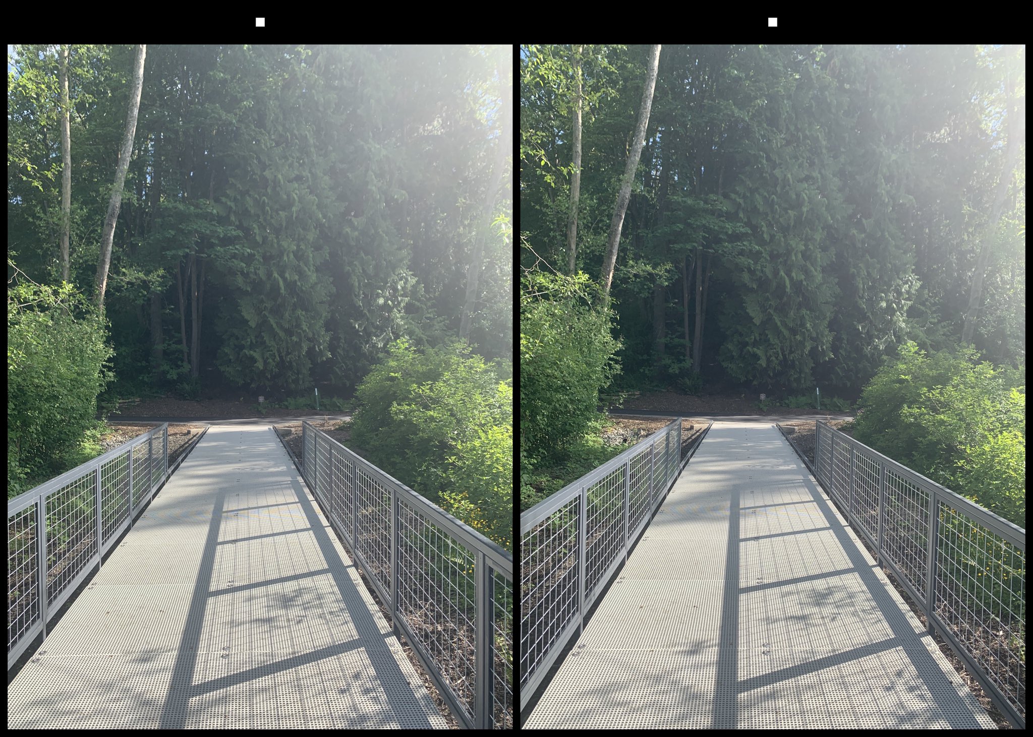 stereo image