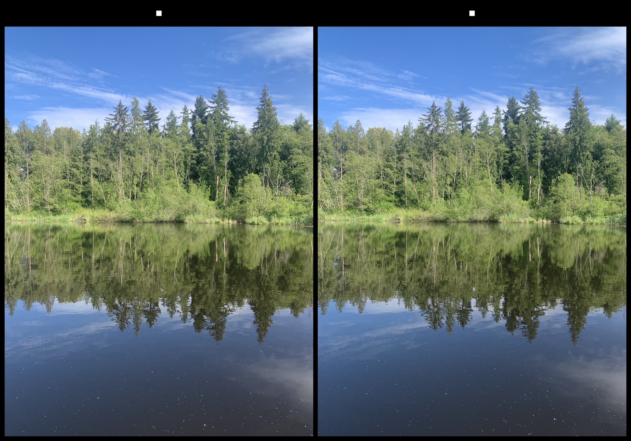 stereo image