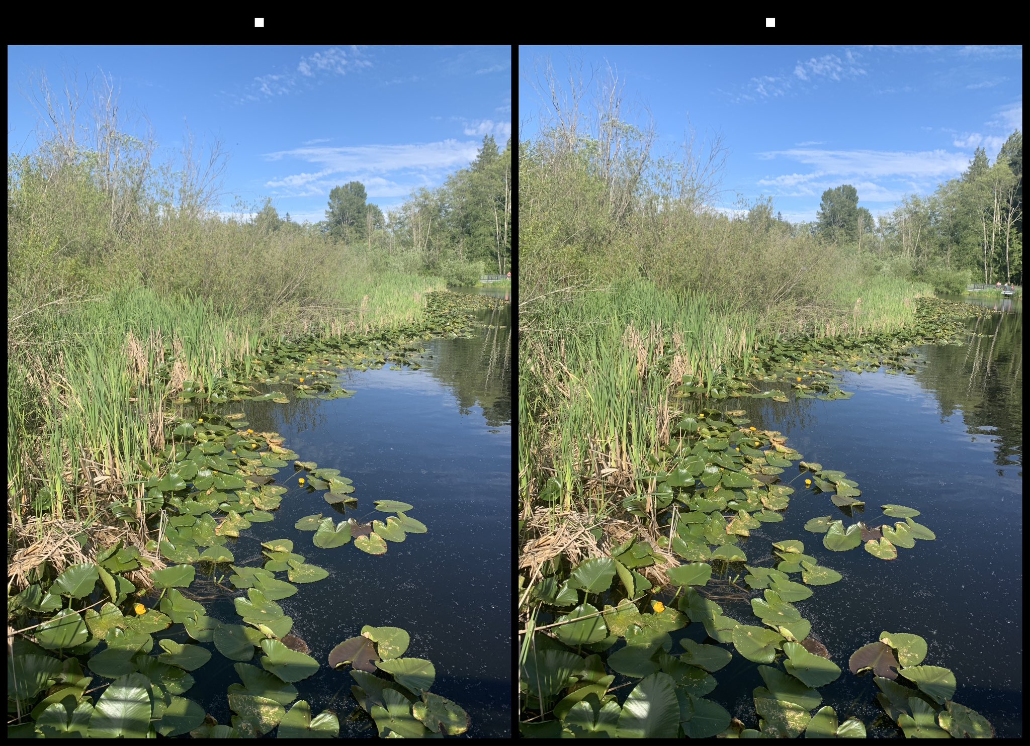 stereo image