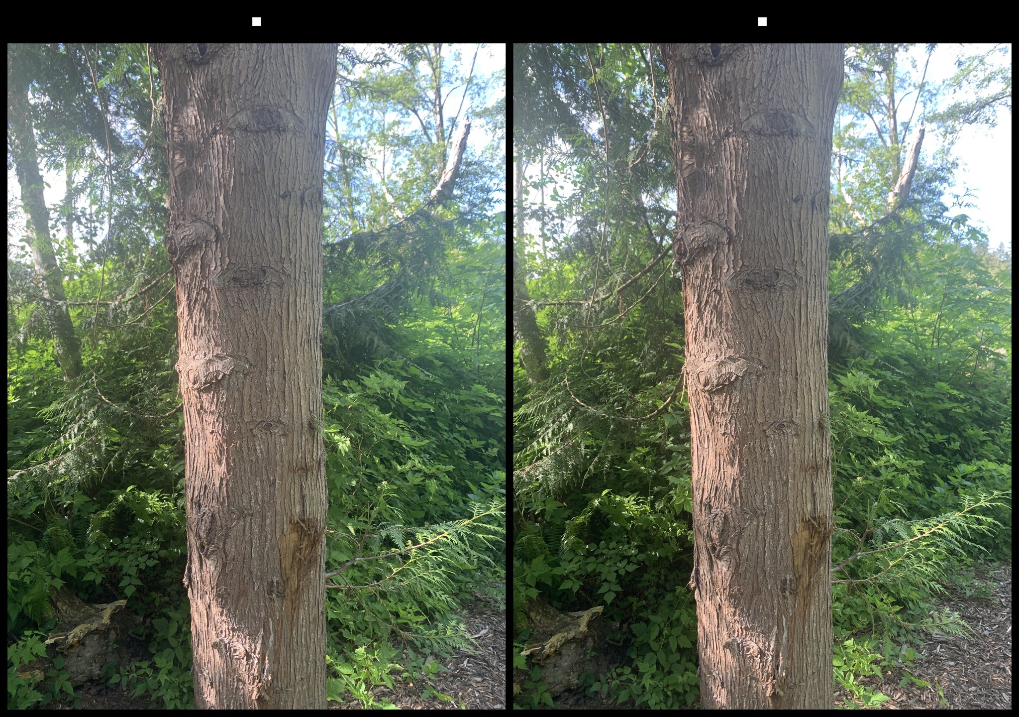 stereo image