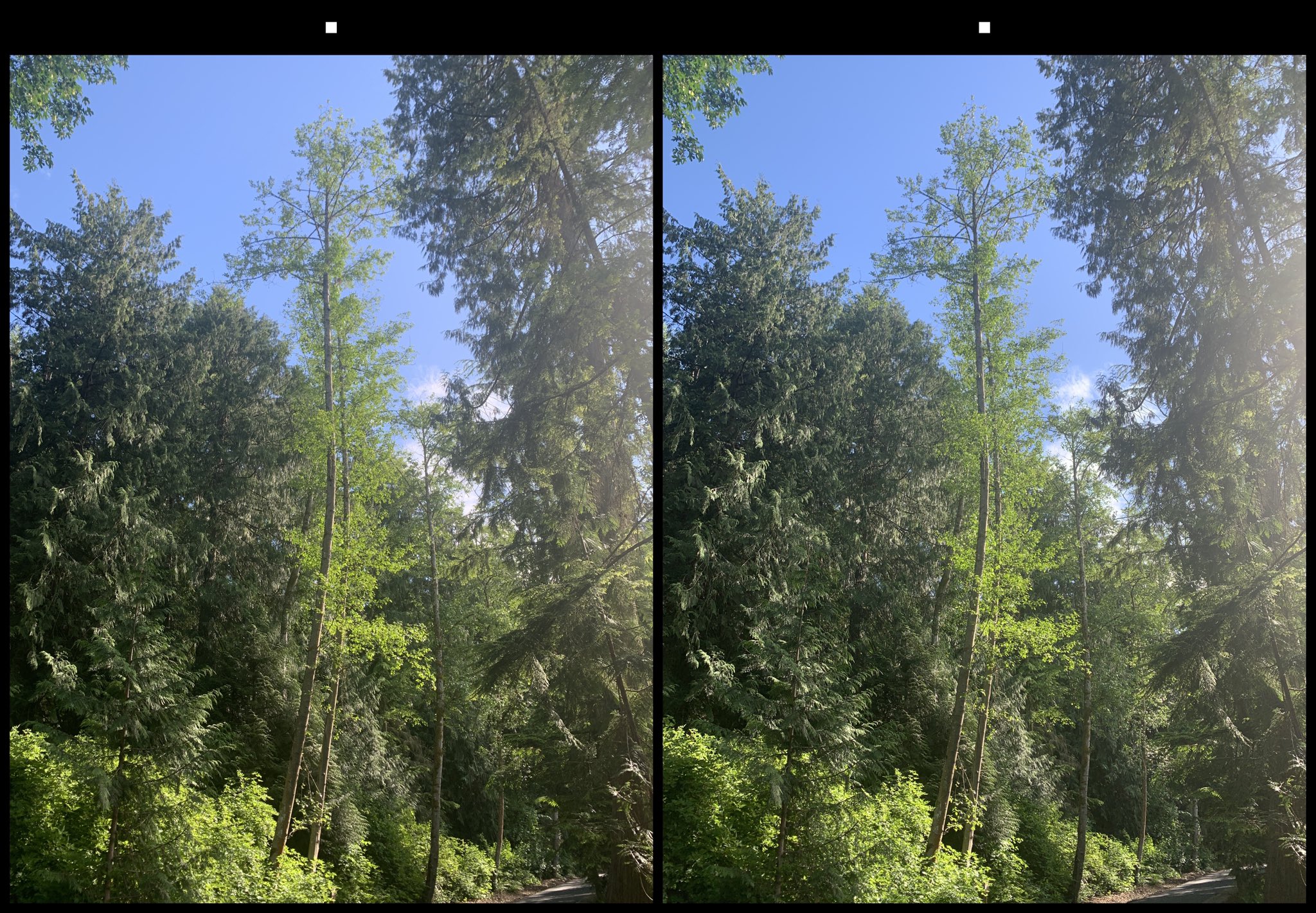 stereo image