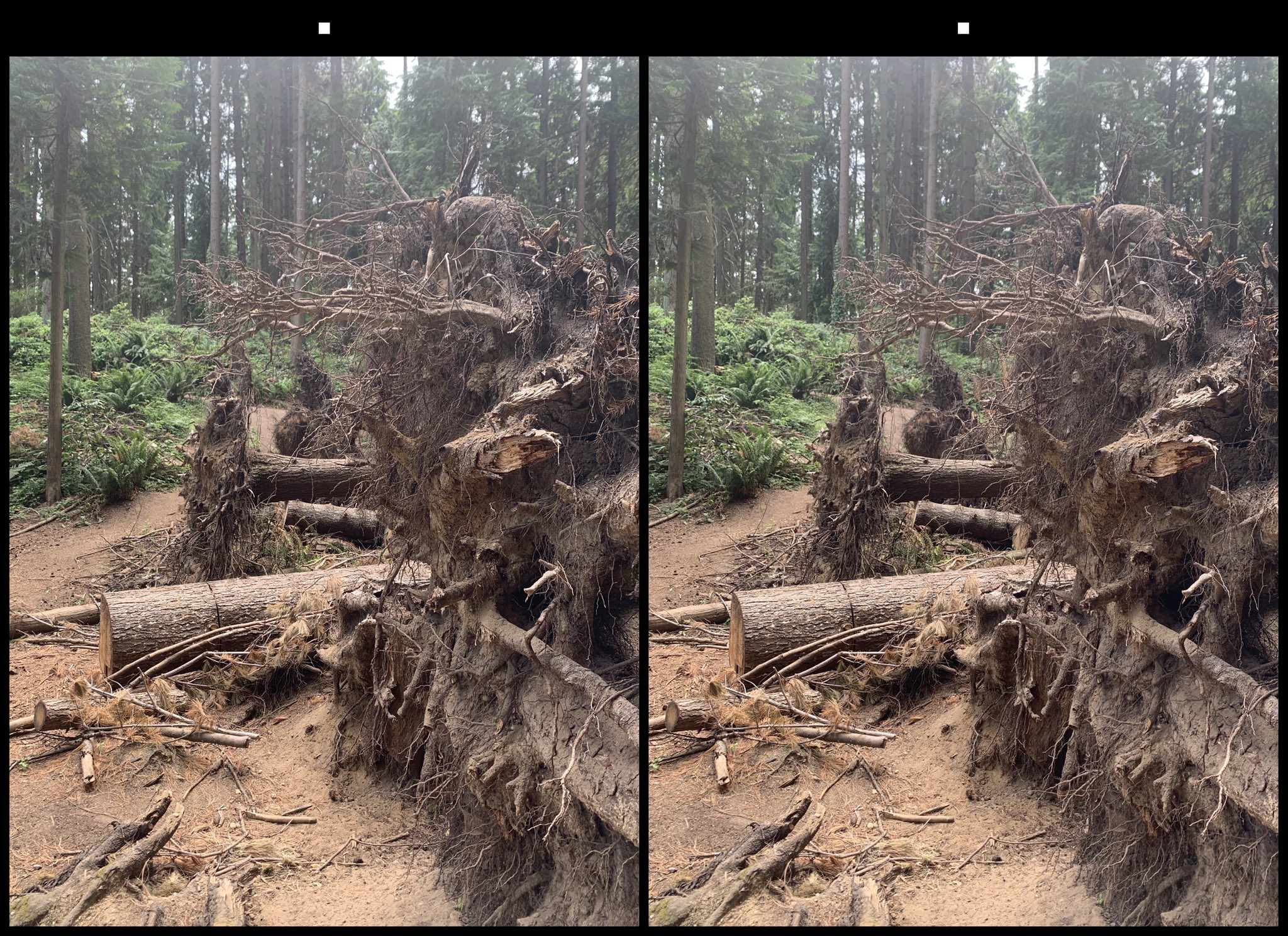 stereo image
