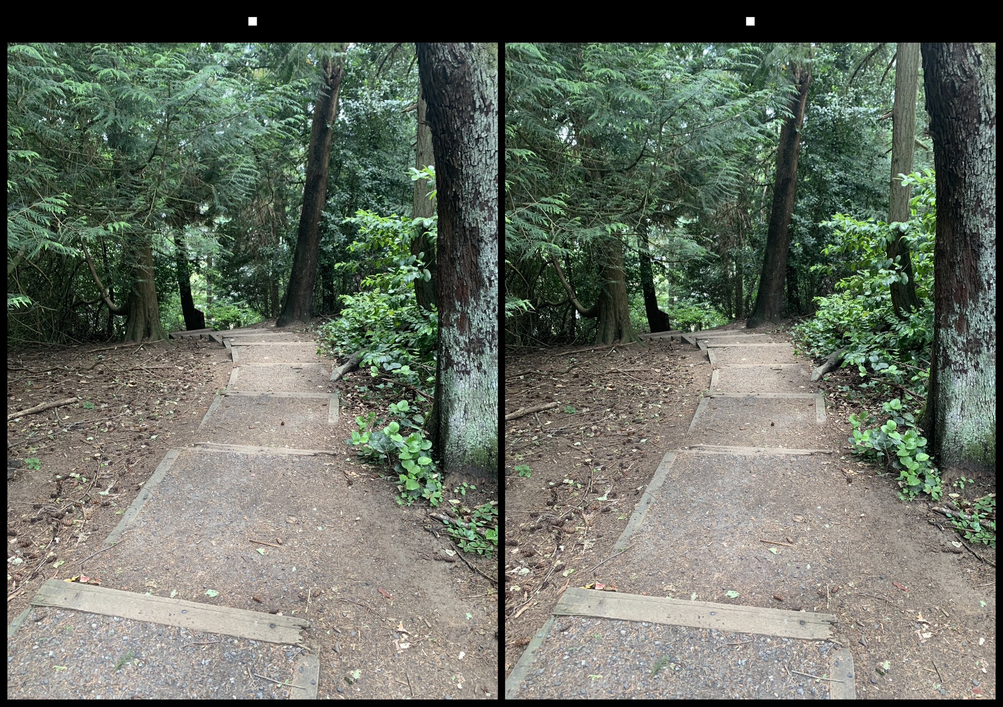 stereo image