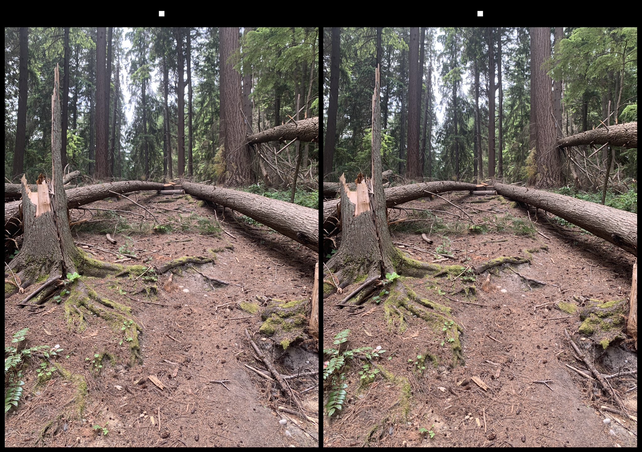 stereo image
