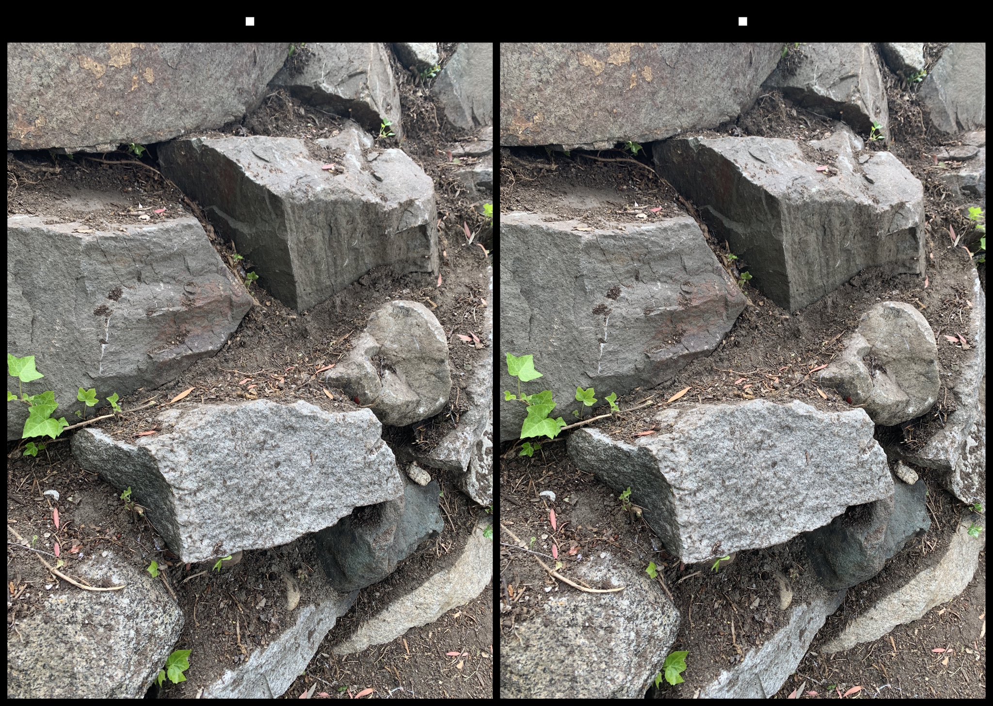 stereo image