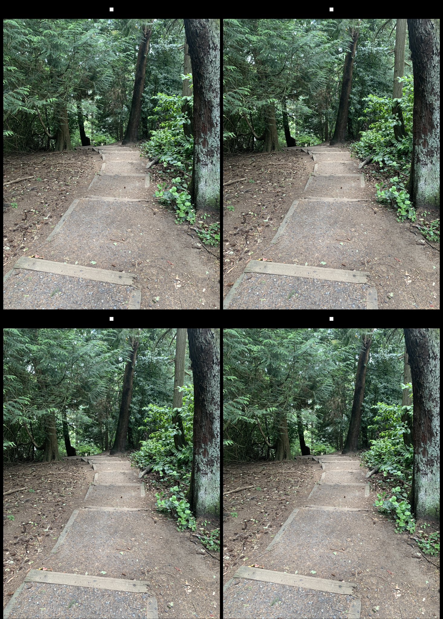 stereo image