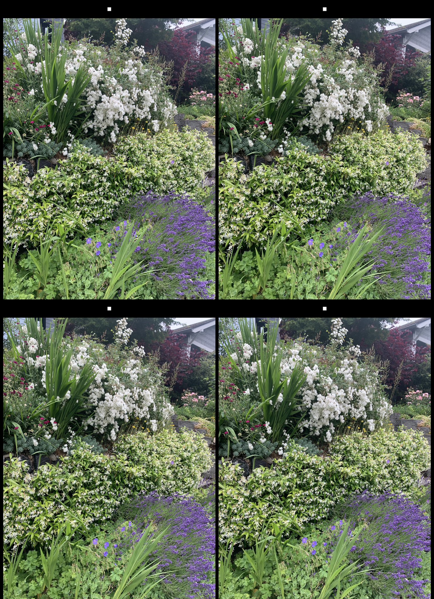 stereo image
