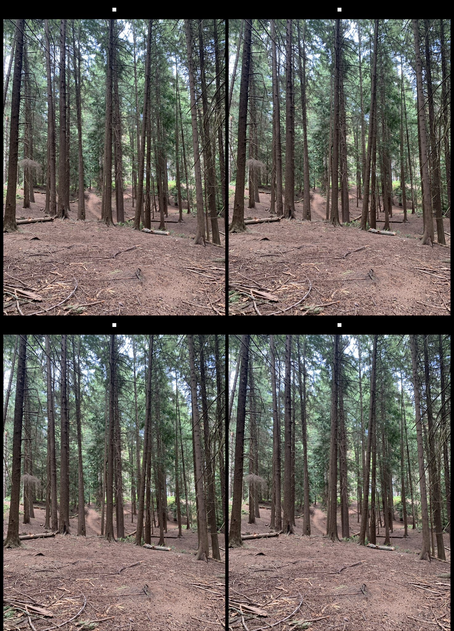 stereo image