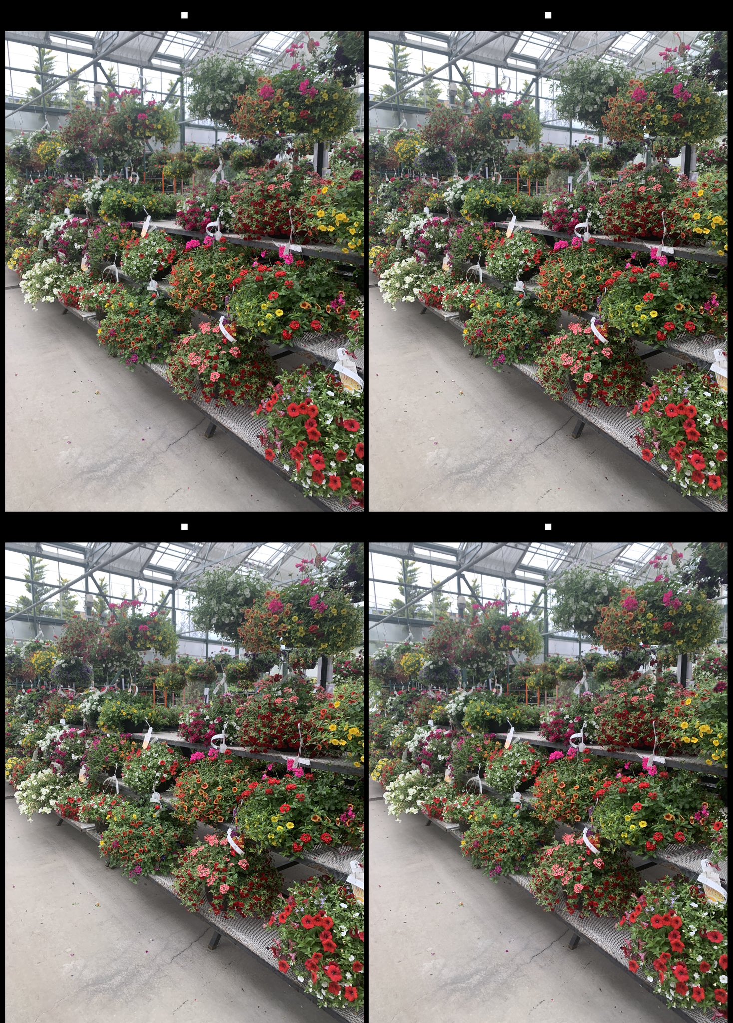 stereo image
