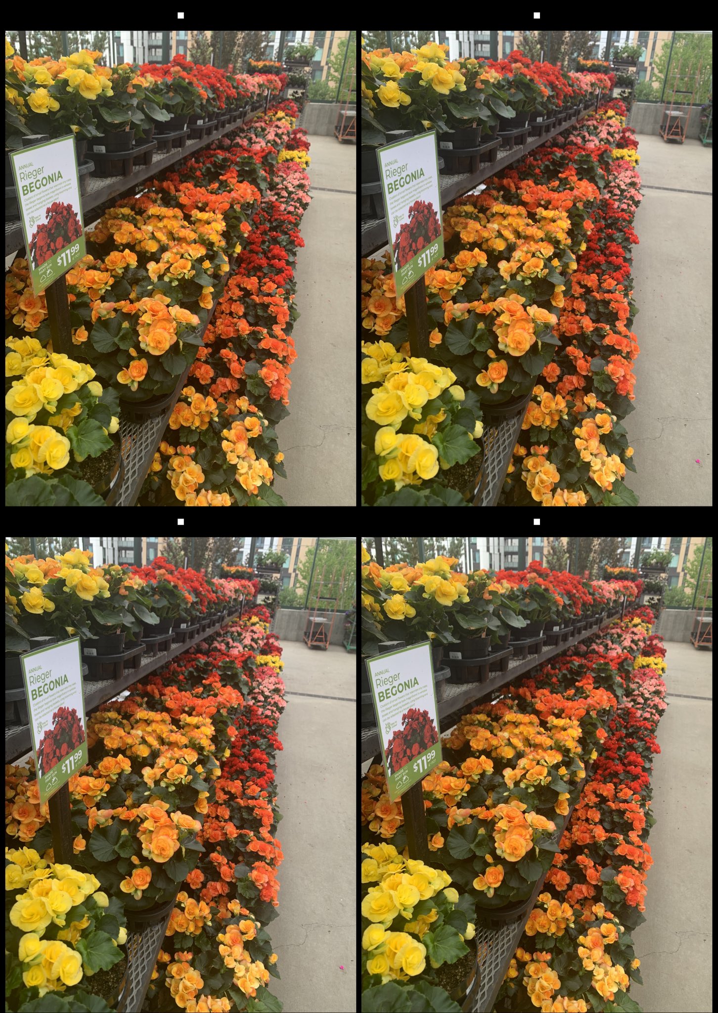 stereo image