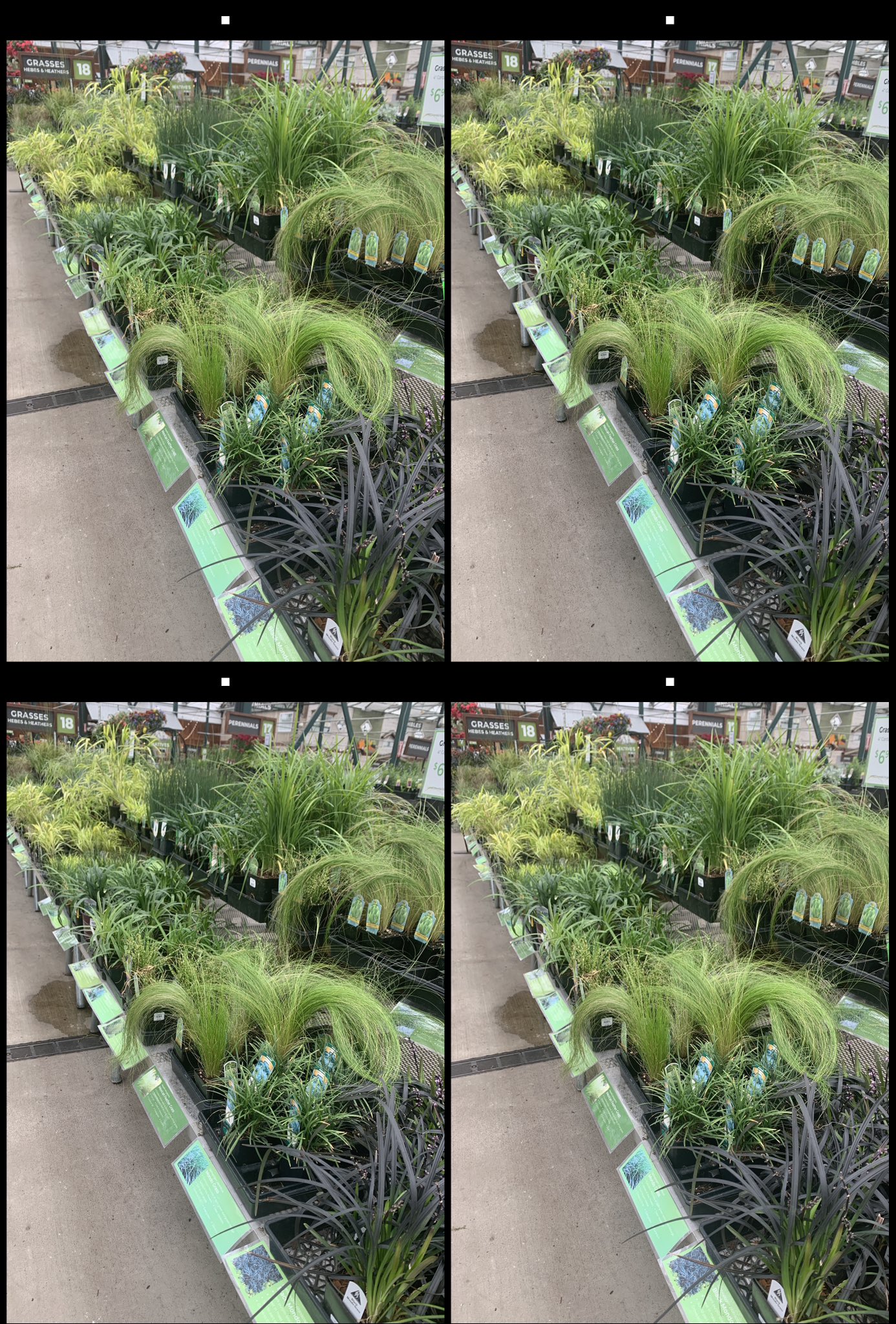 stereo image