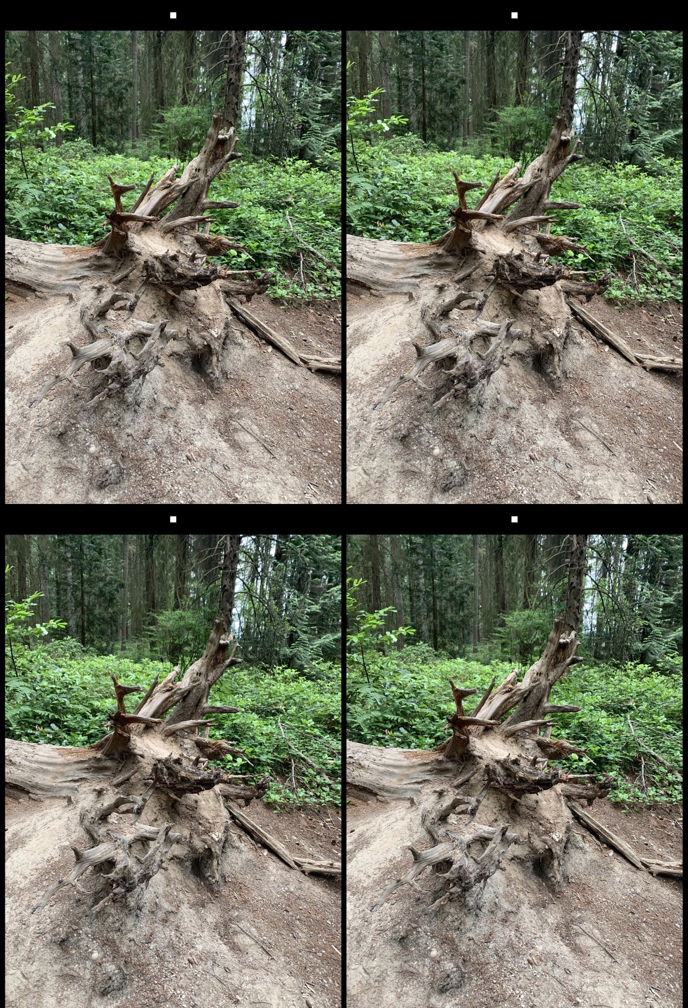 stereo image