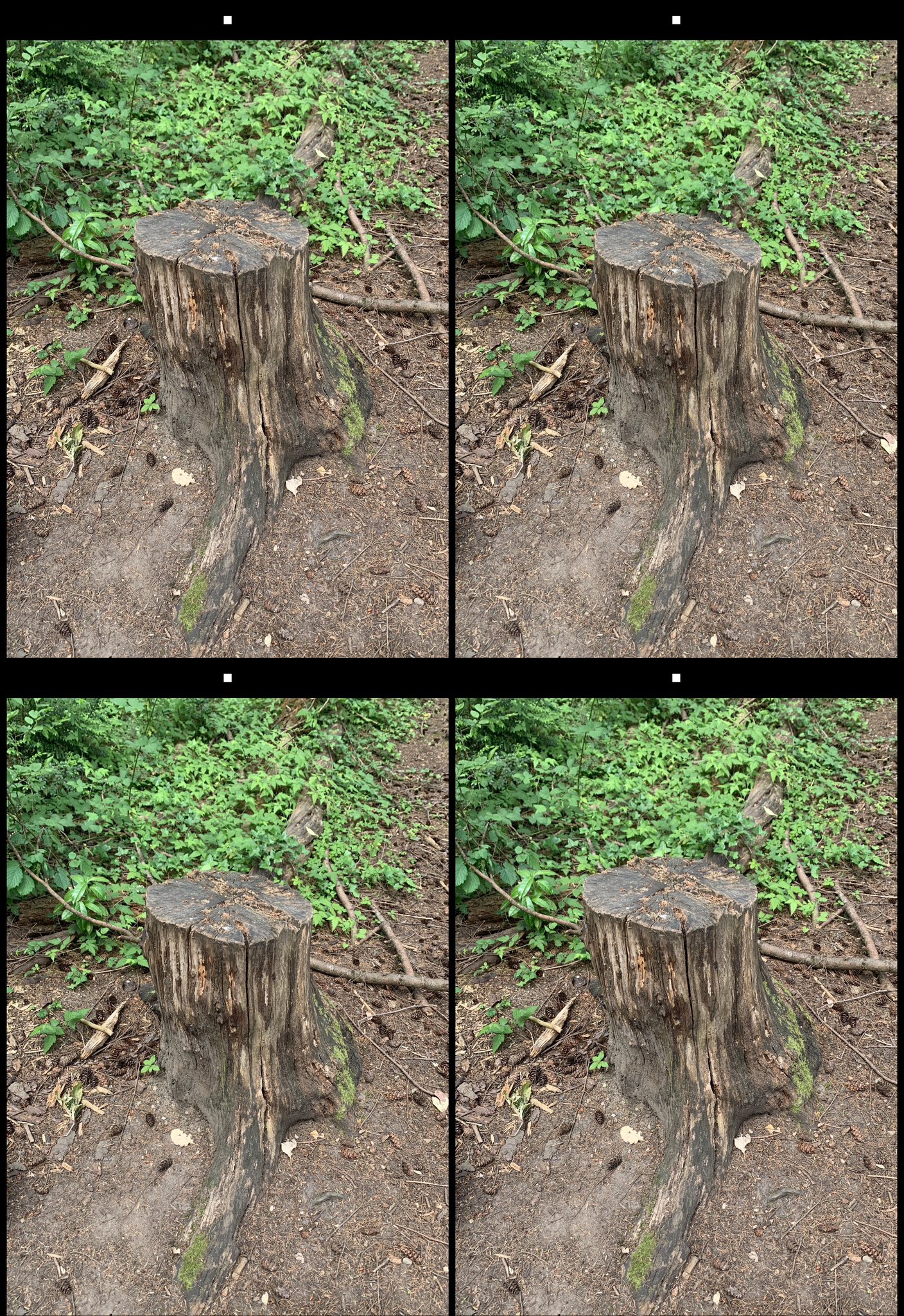 stereo image