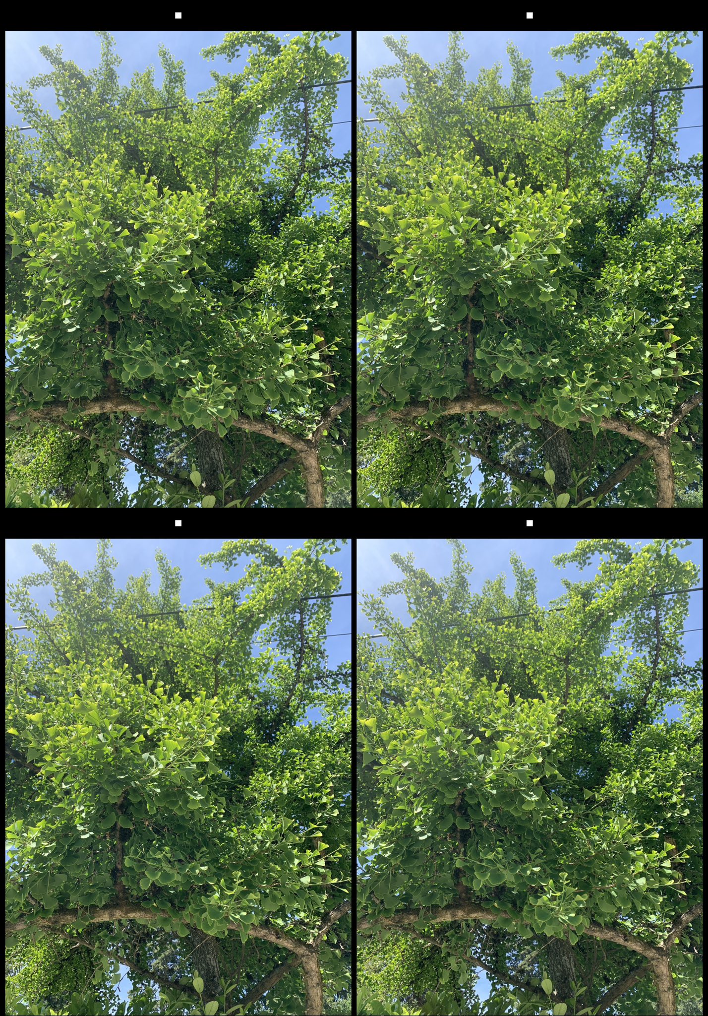 stereo image