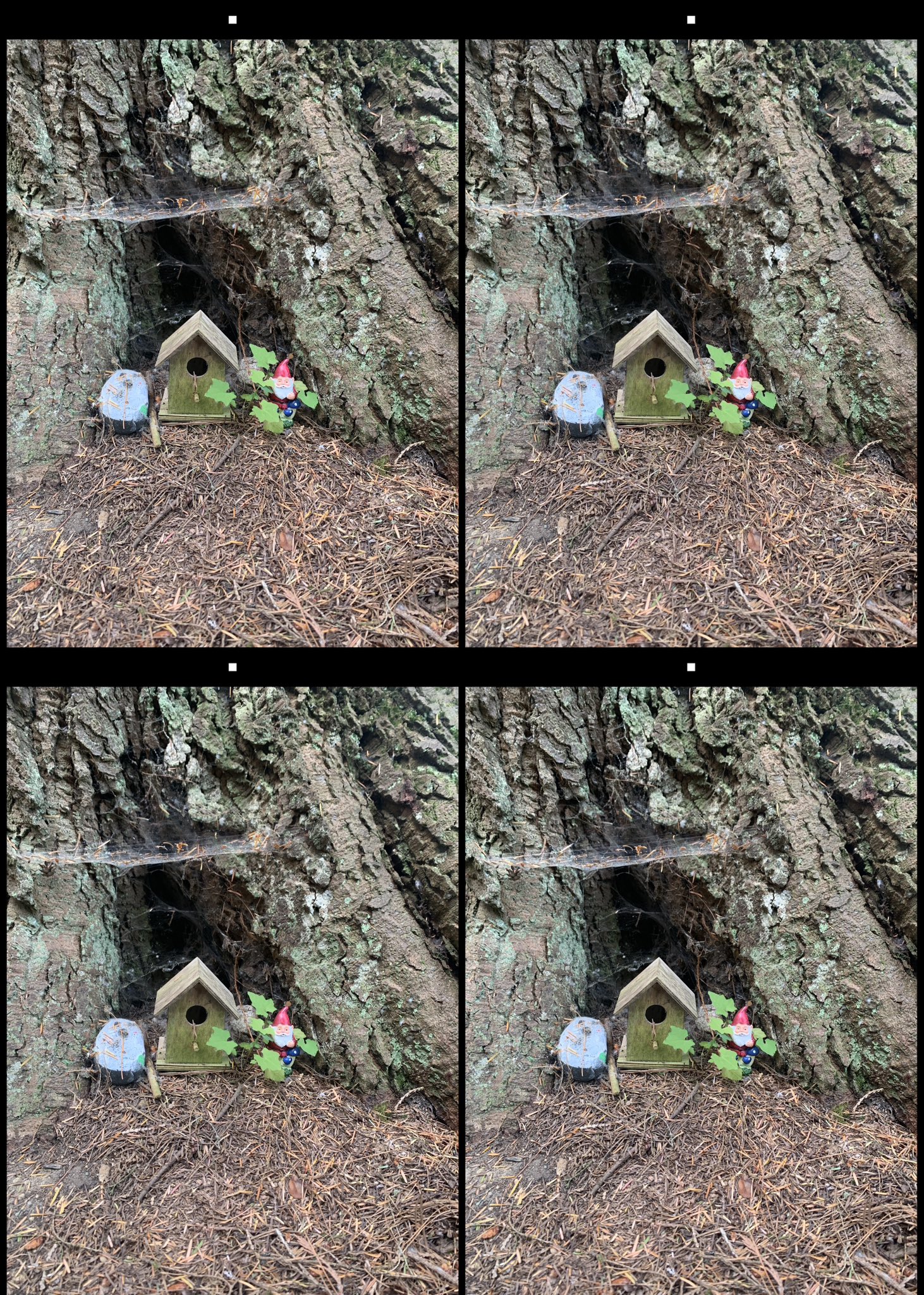 stereo image