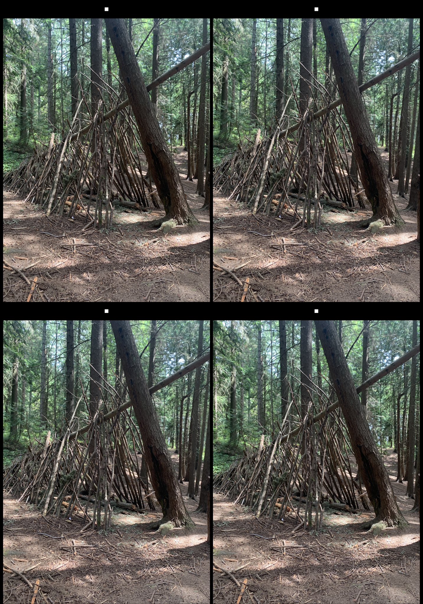 stereo image