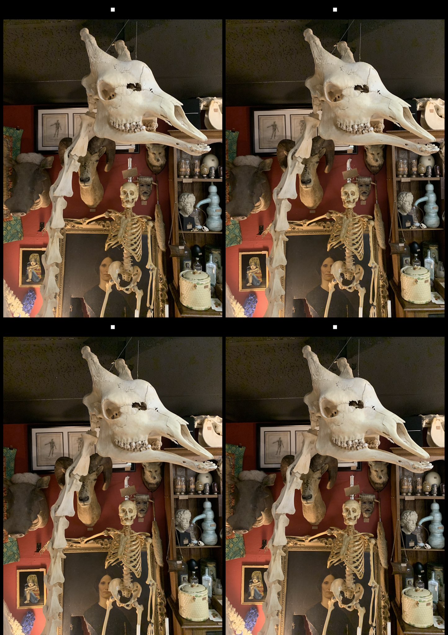 stereo image
