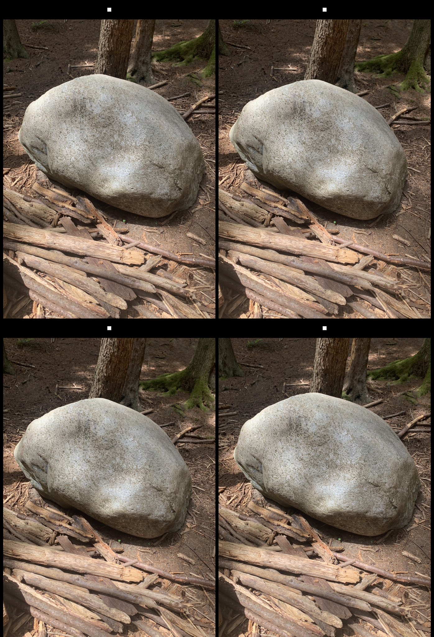 stereo image