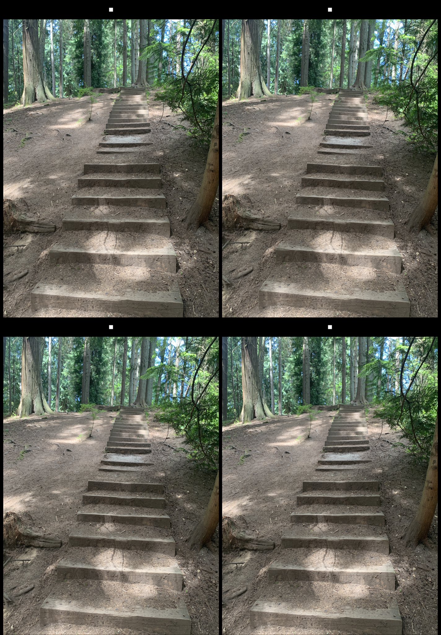 stereo image