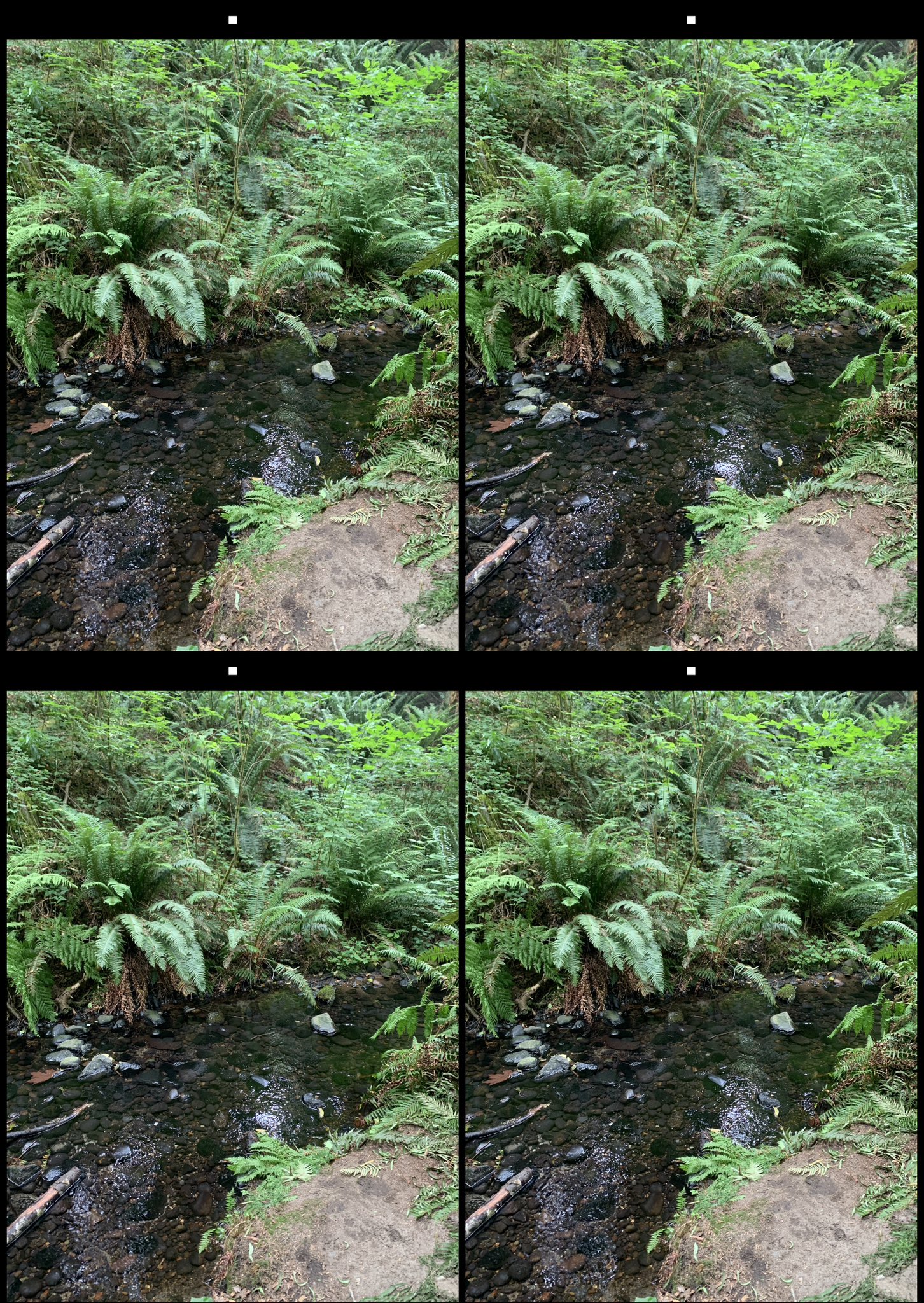 stereo image