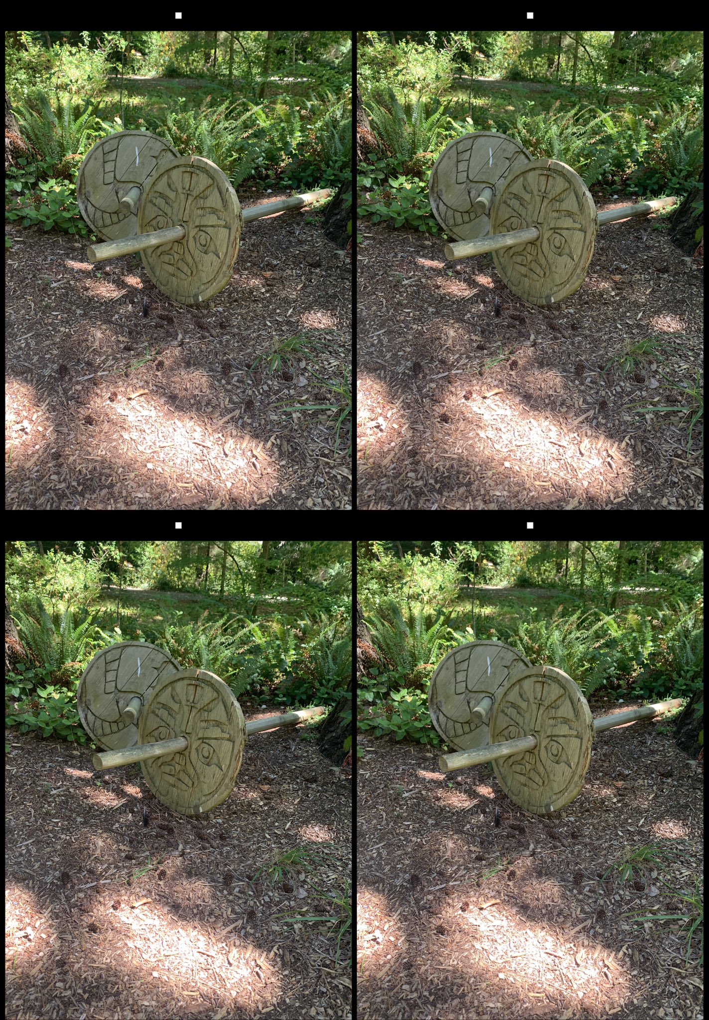stereo image