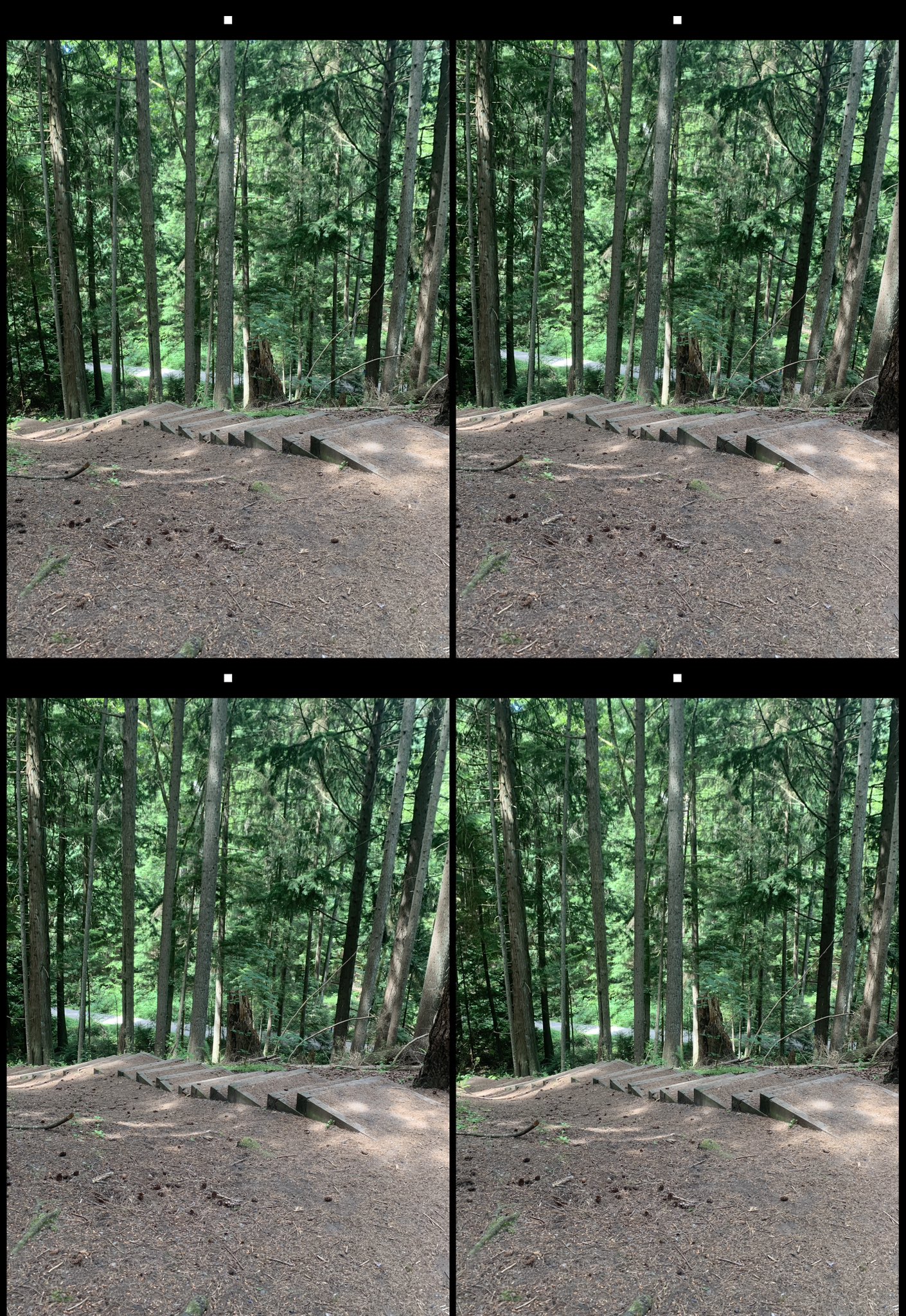 stereo image