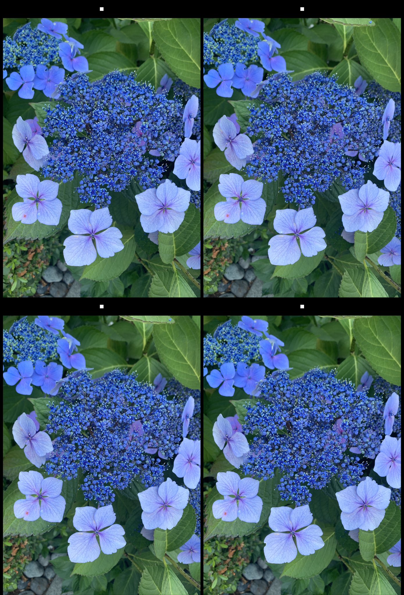stereo image