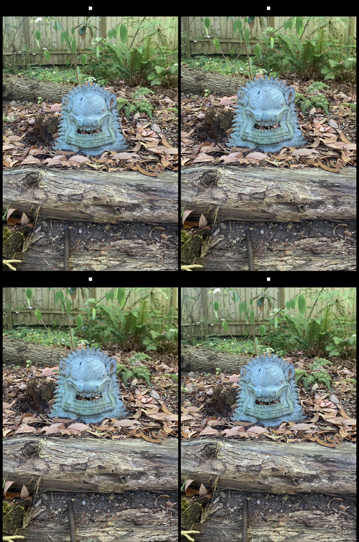 stereo image