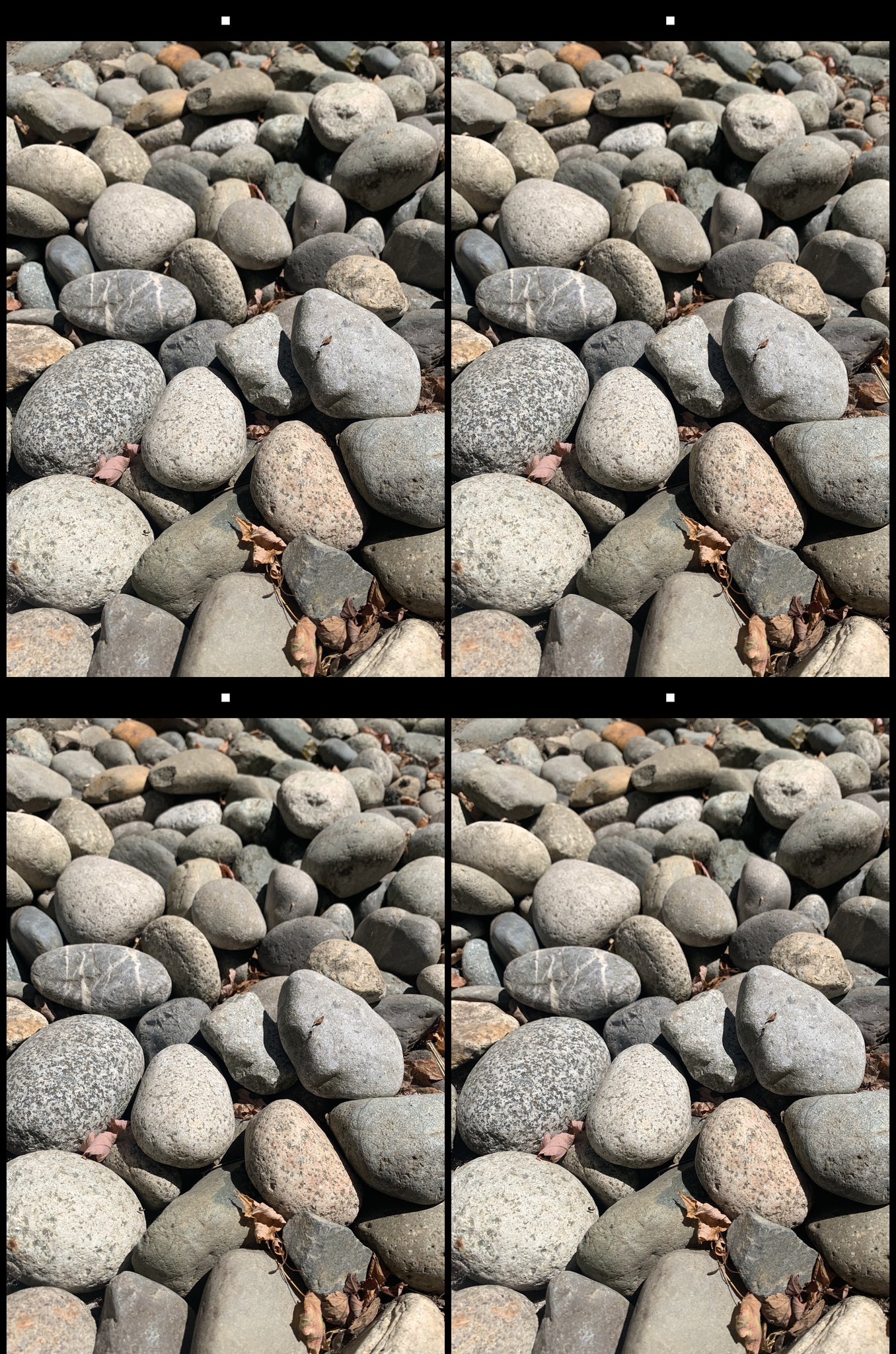 stereo image
