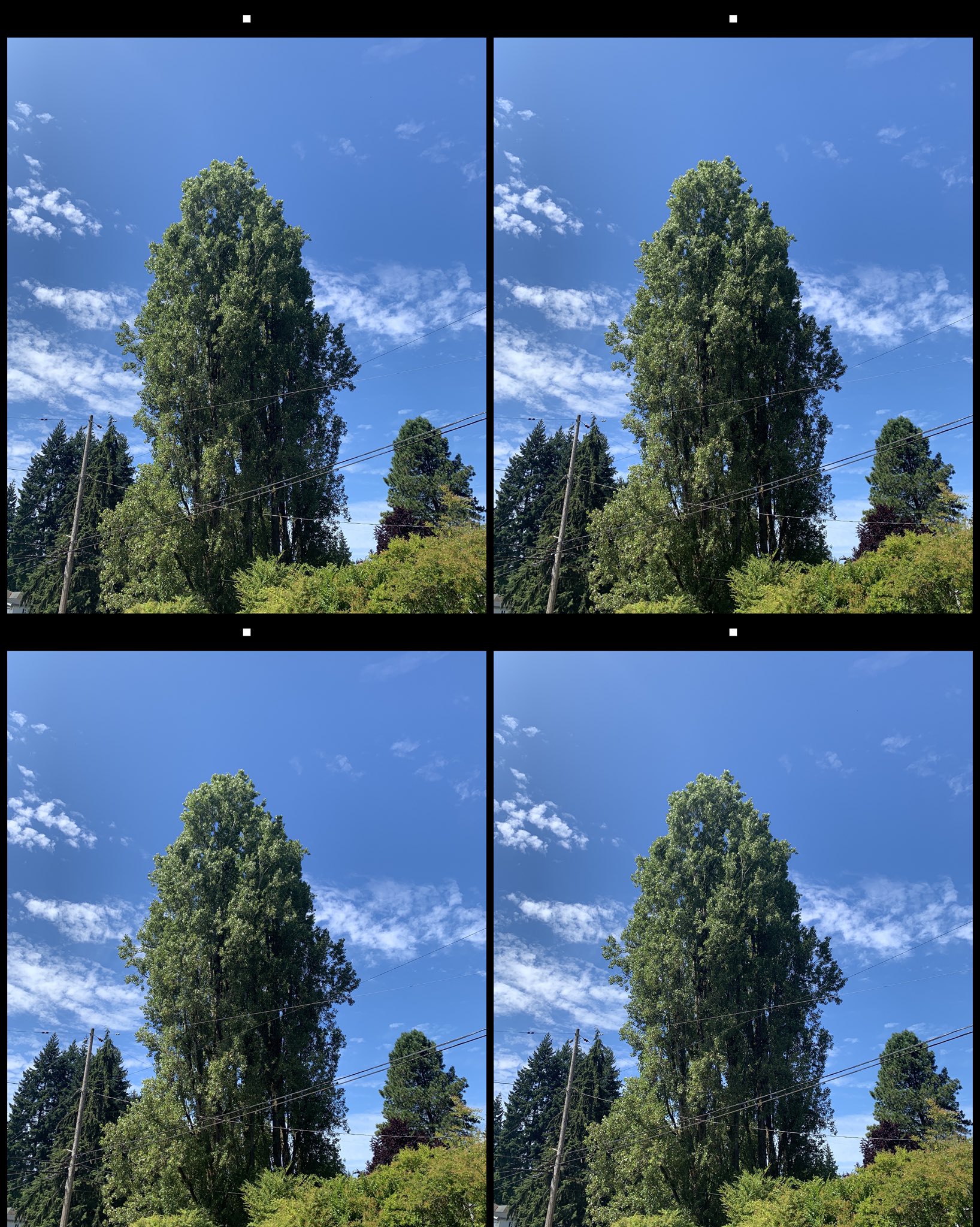 stereo image