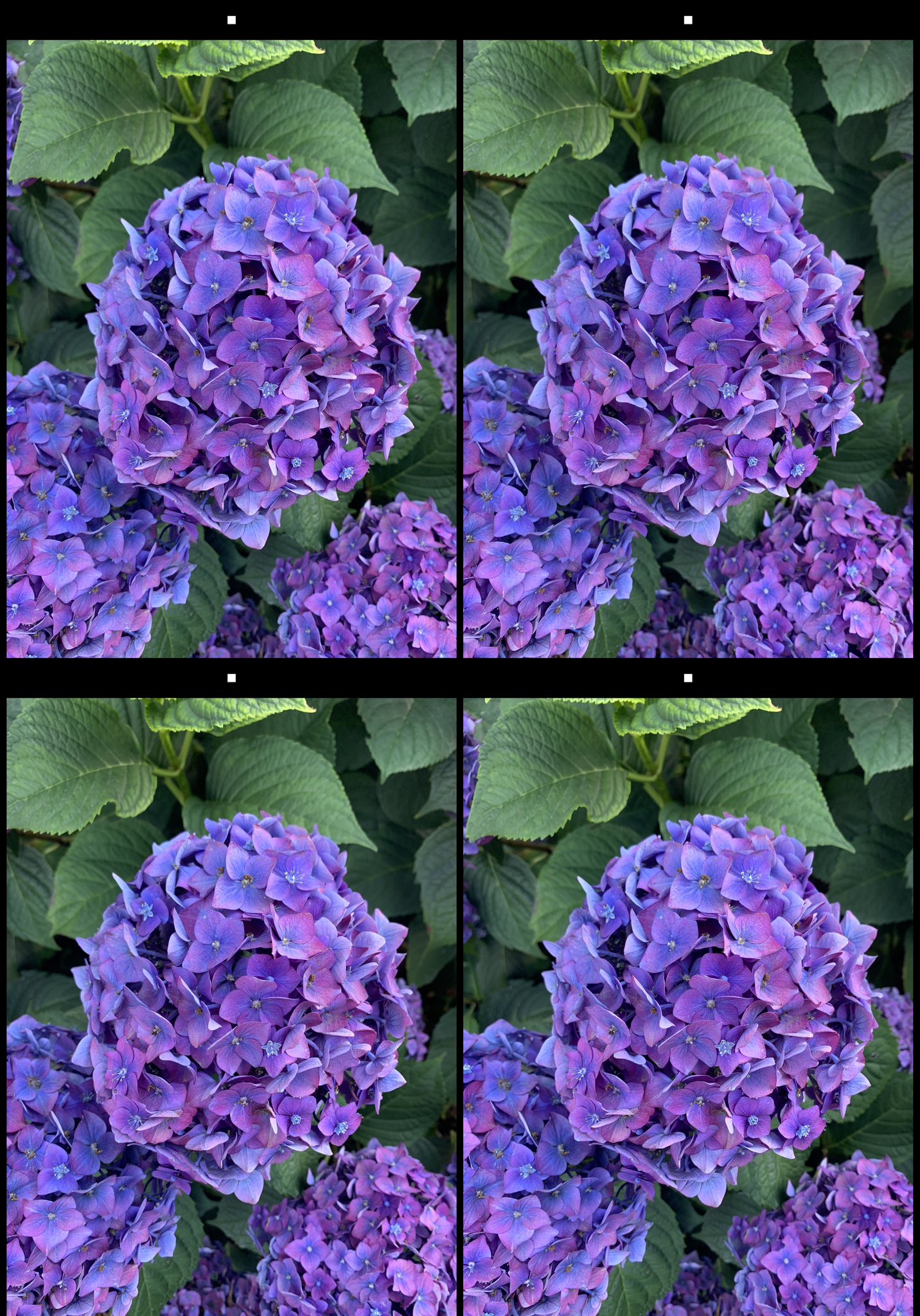 stereo image