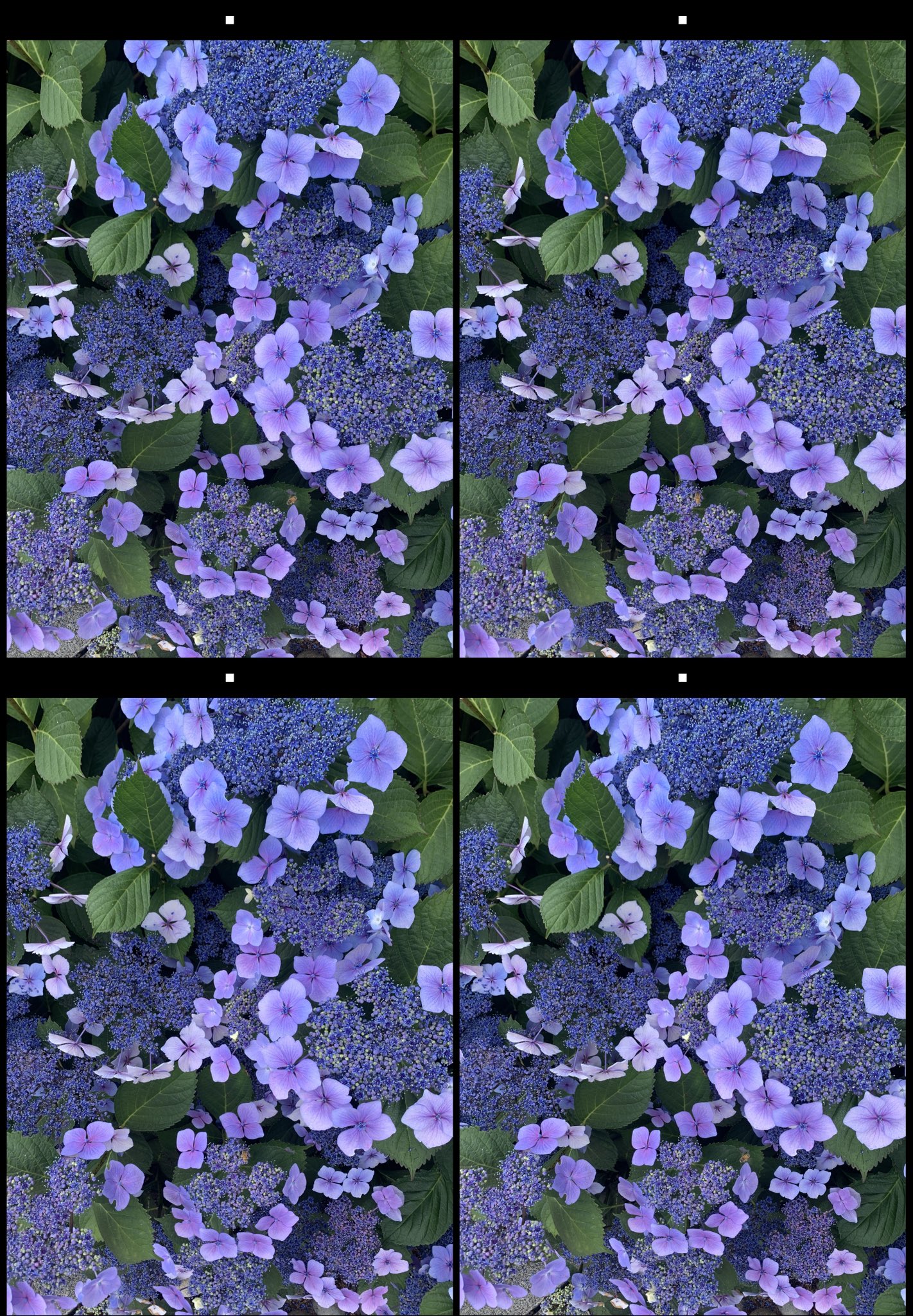stereo image