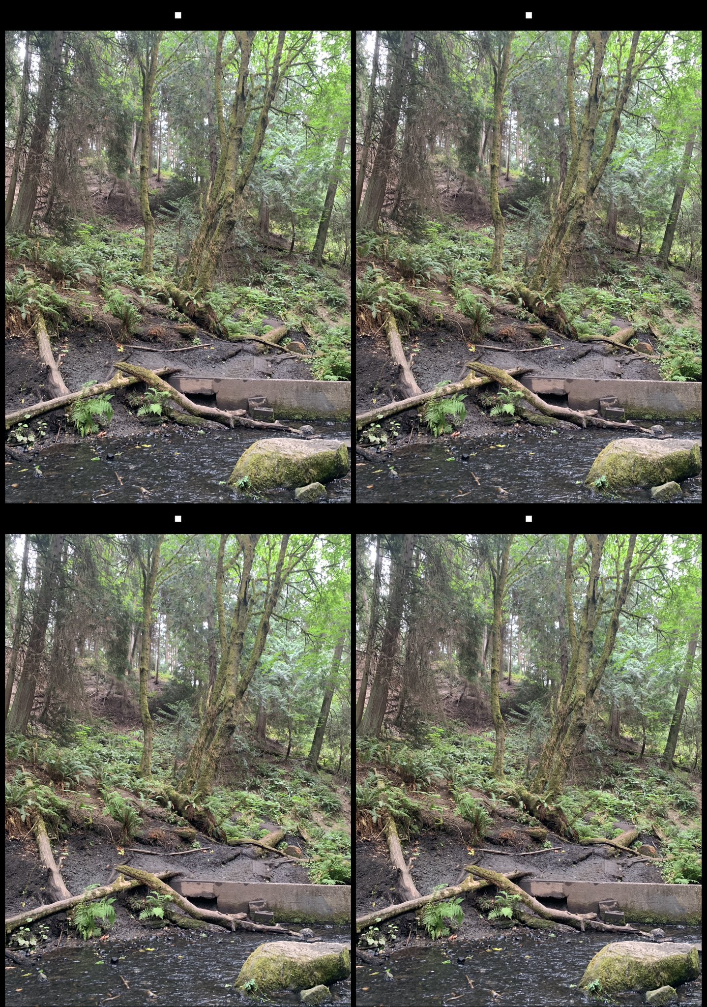 stereo image