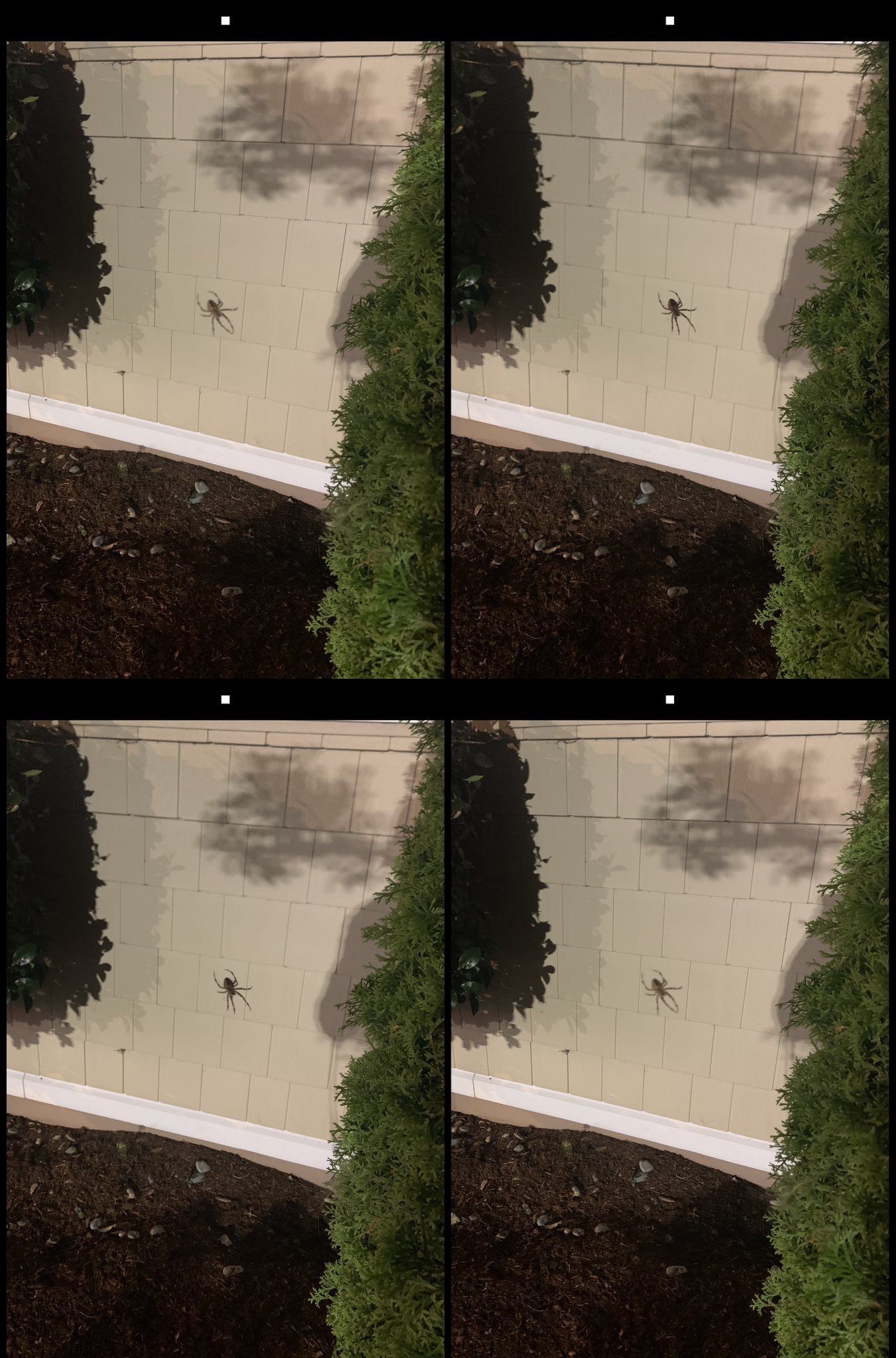 stereo image