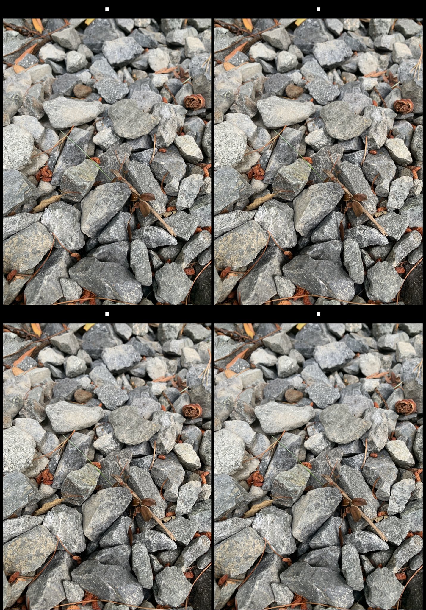 stereo image