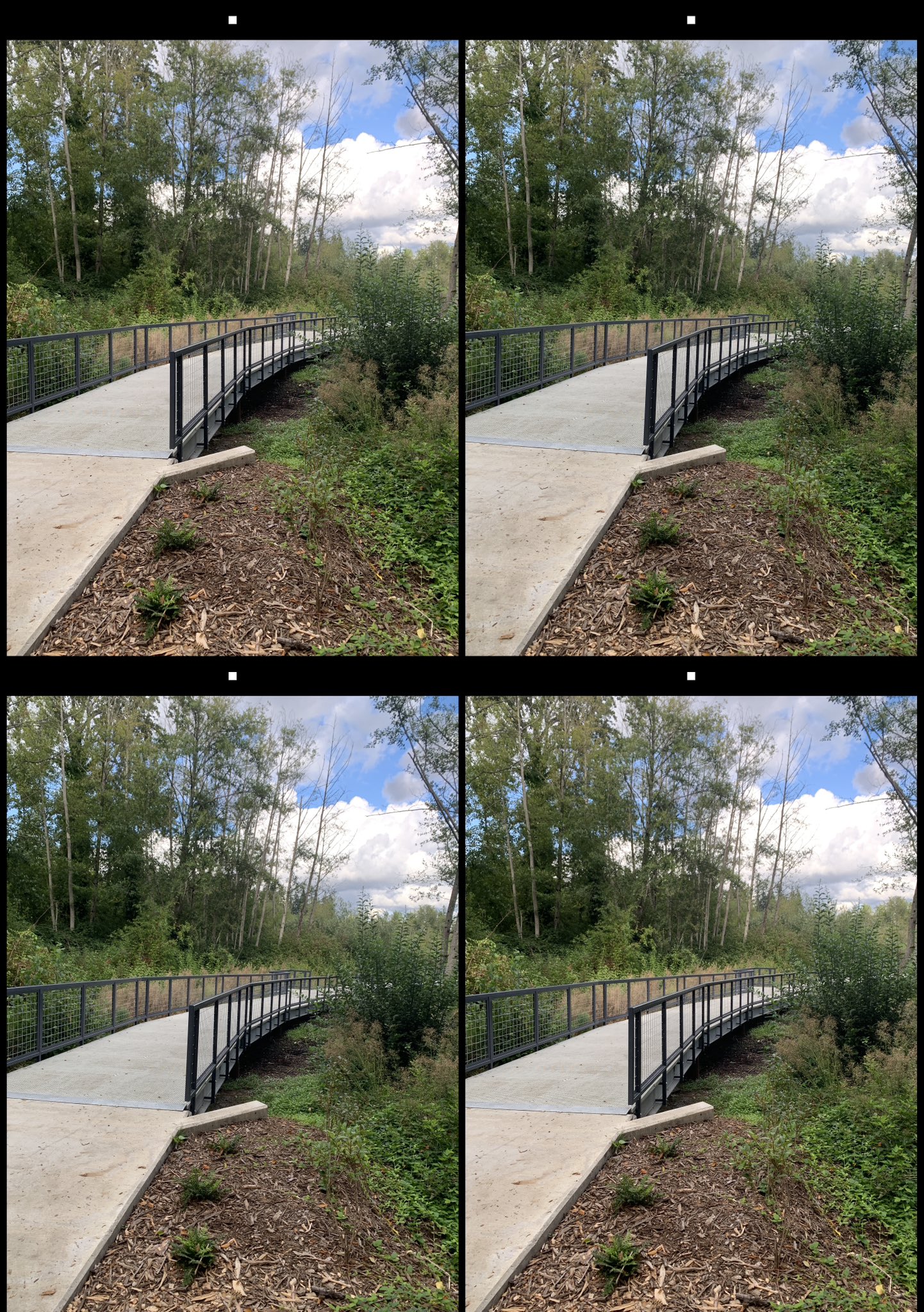 stereo image
