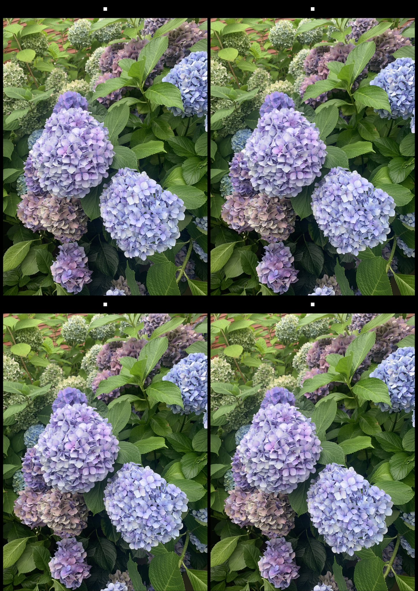 stereo image
