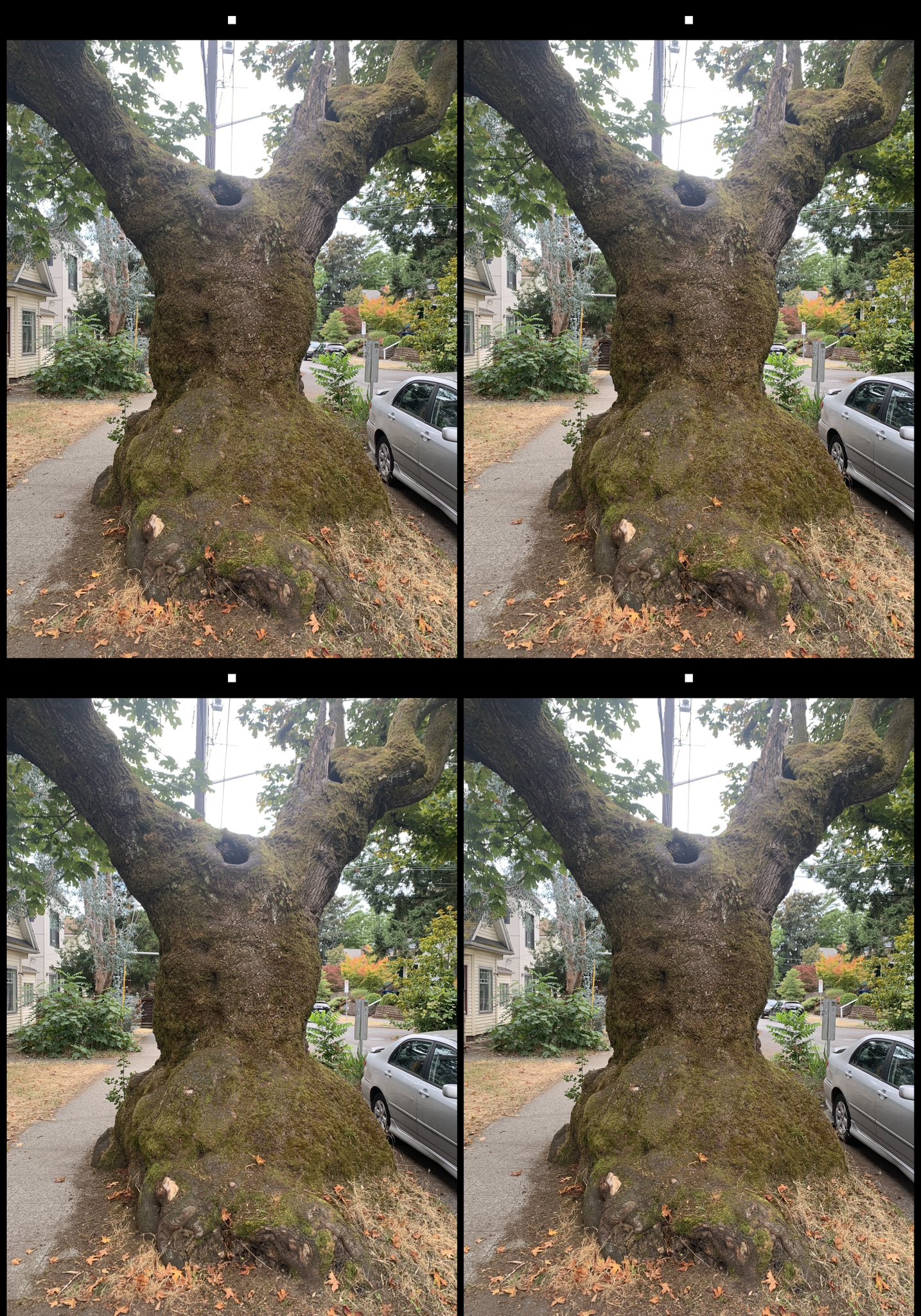 stereo image