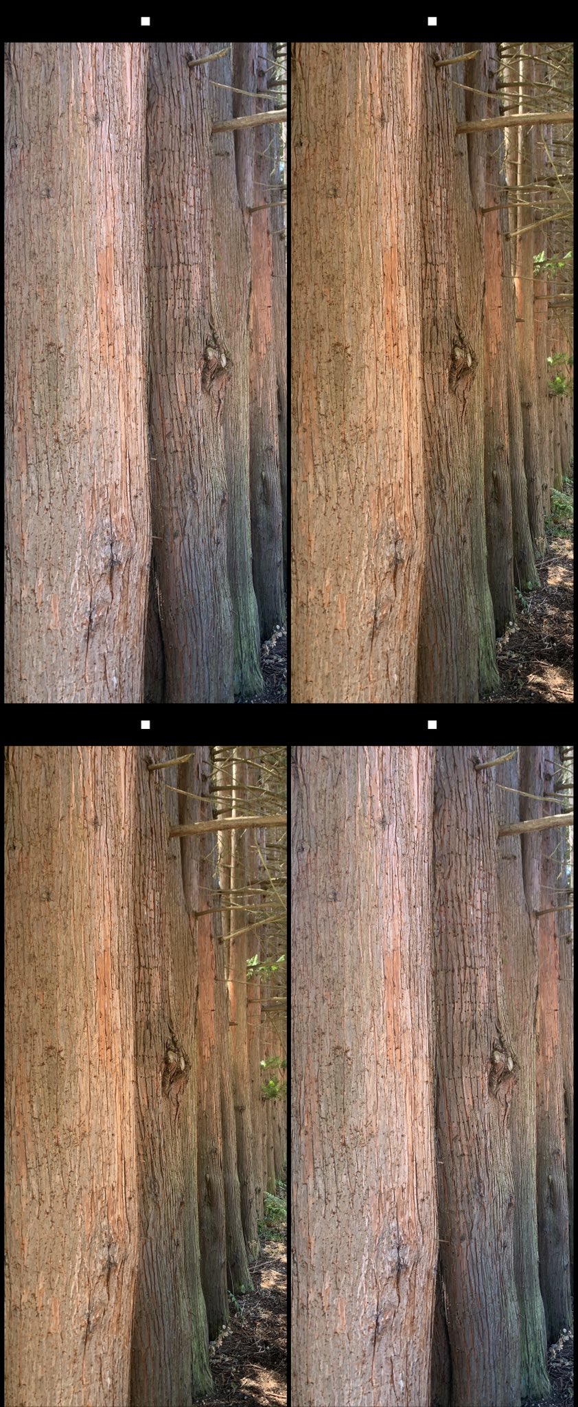 stereo image