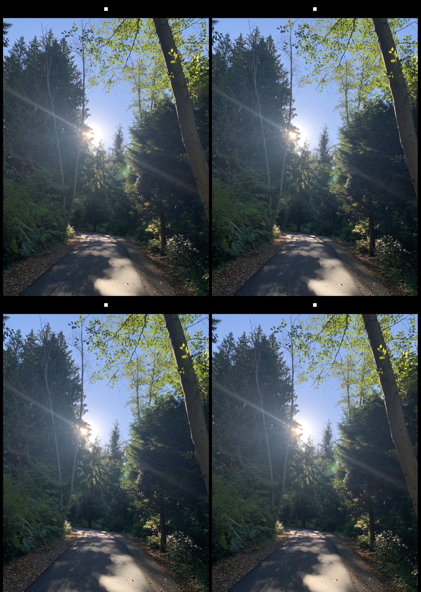 stereo image