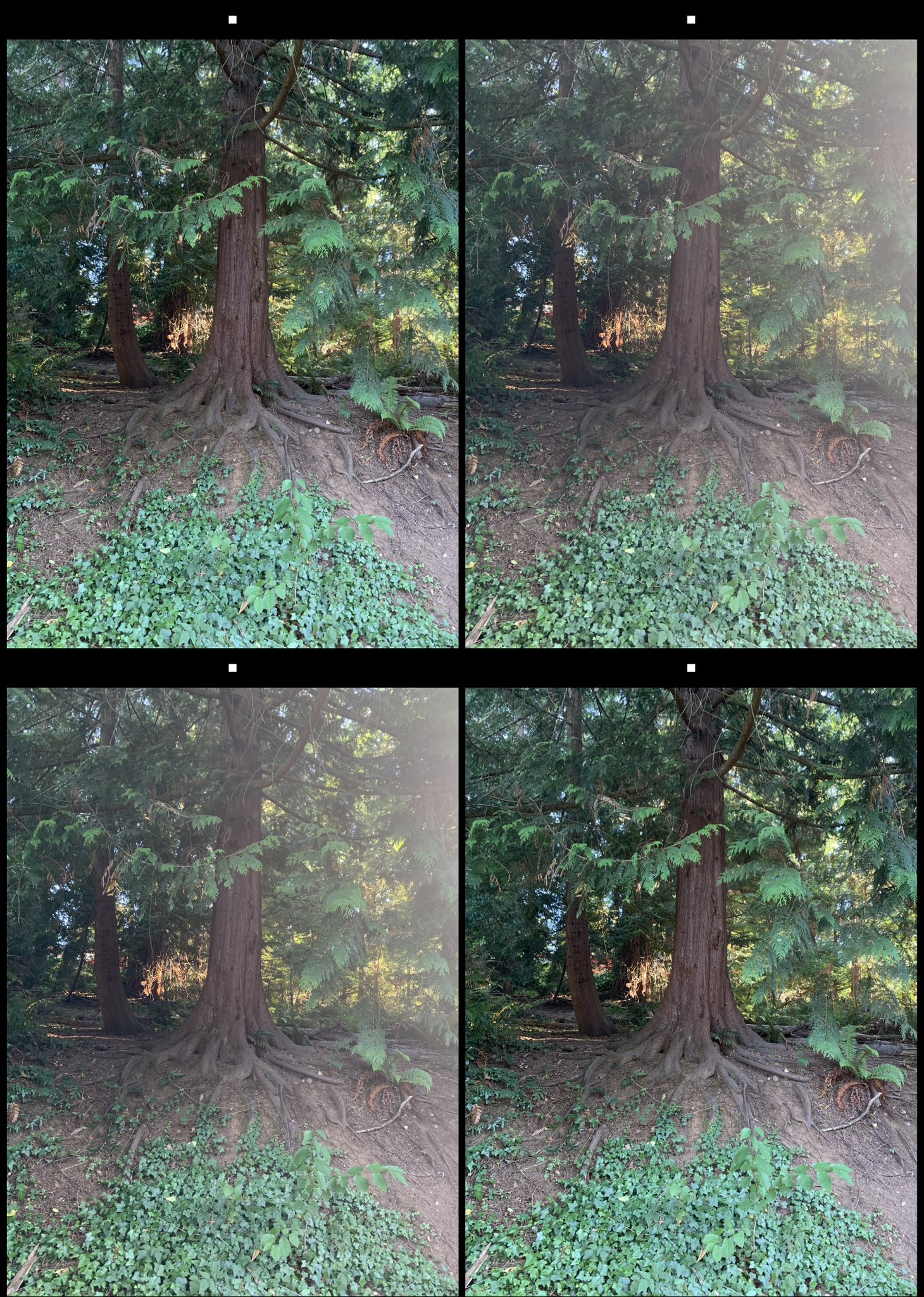 stereo image
