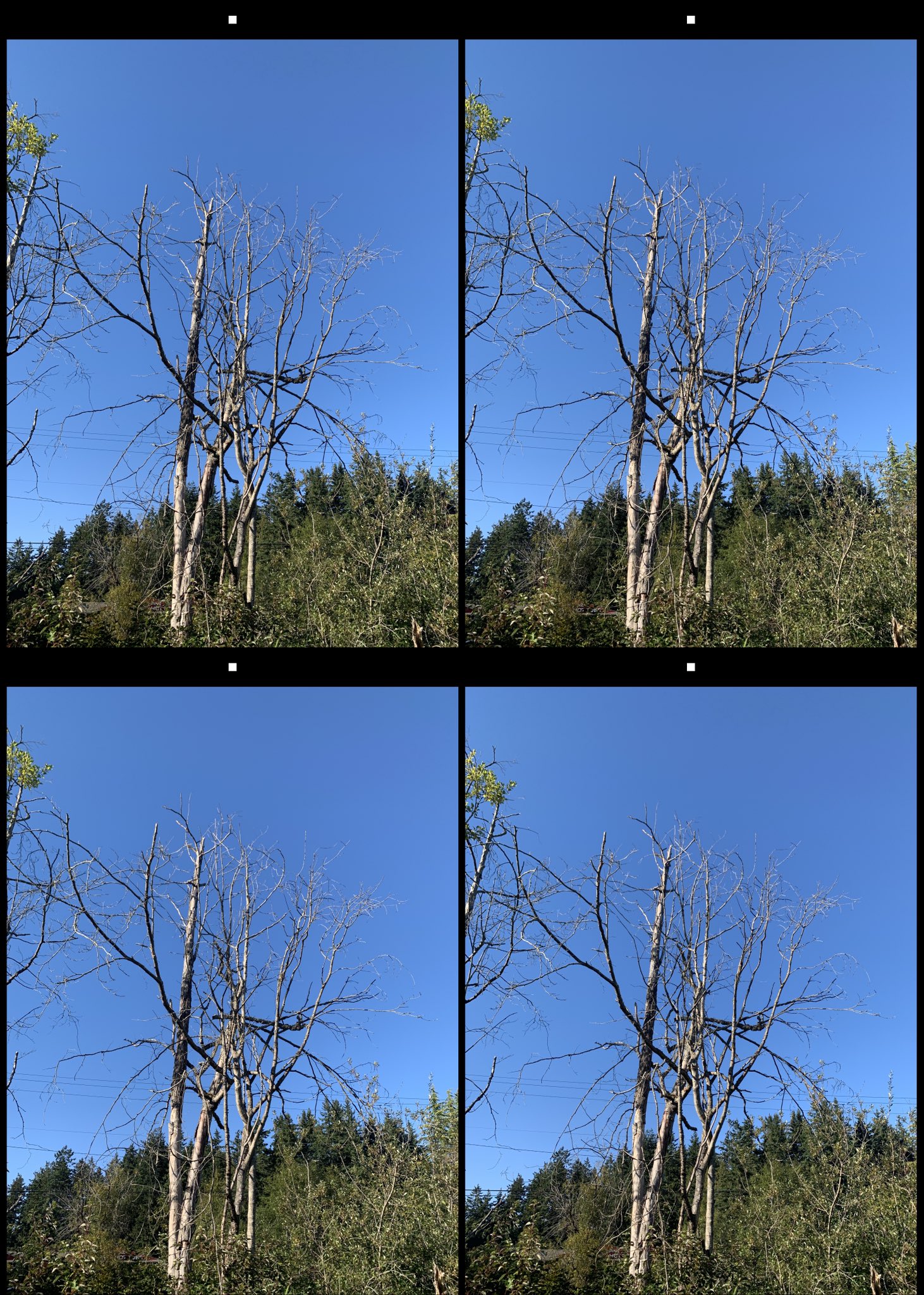 stereo image