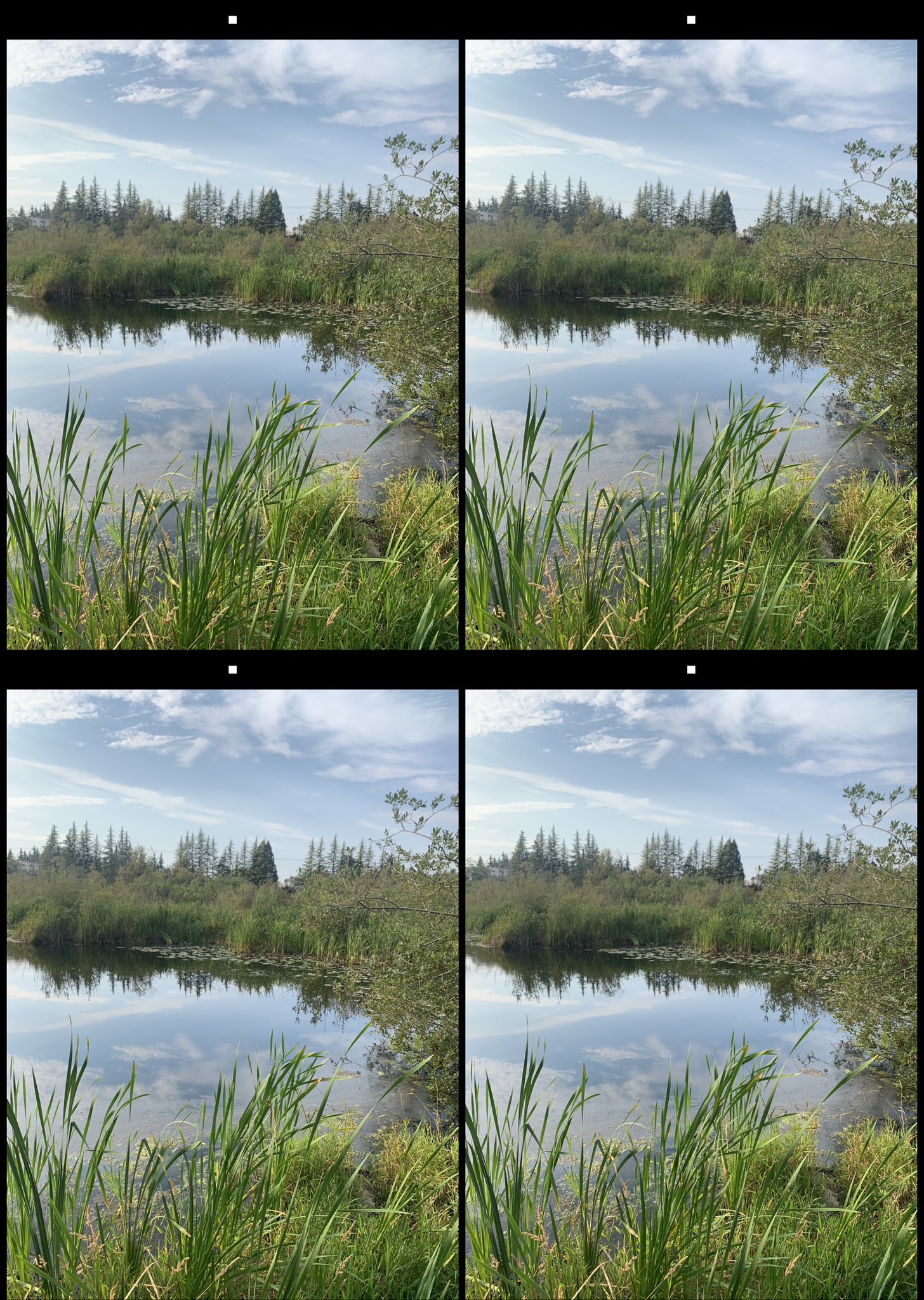 stereo image